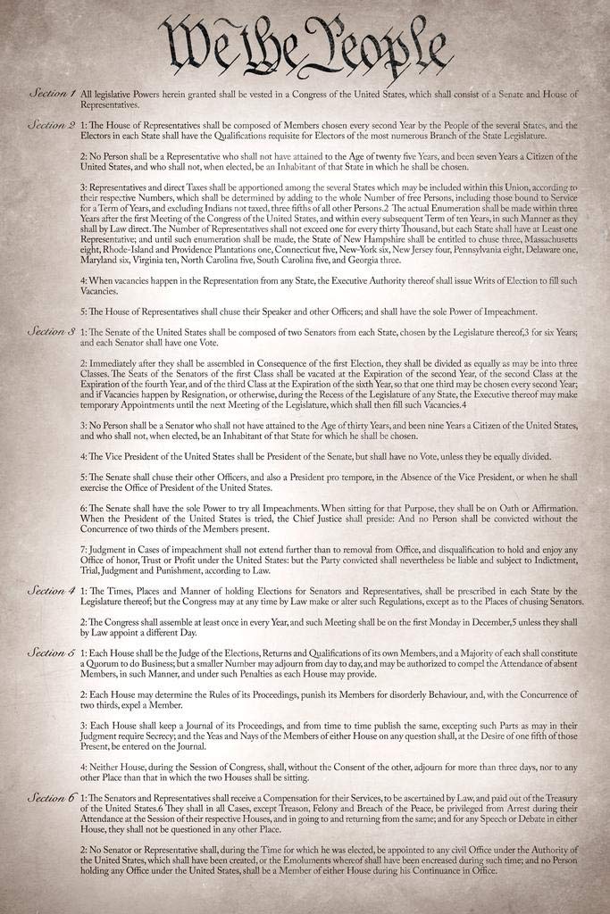 Constitution of The United States Poster US America History Readable Version For Classroom American Government Cool Wall Art Pri