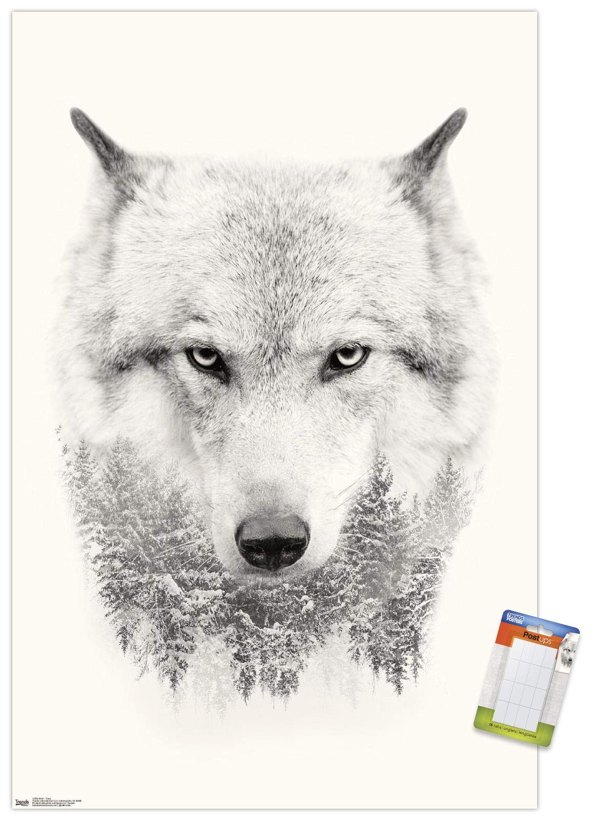 Trends International Wolf - Trees Wall Poster, 14.725'' X 22.375'', Premium Poster & Mount Bundle