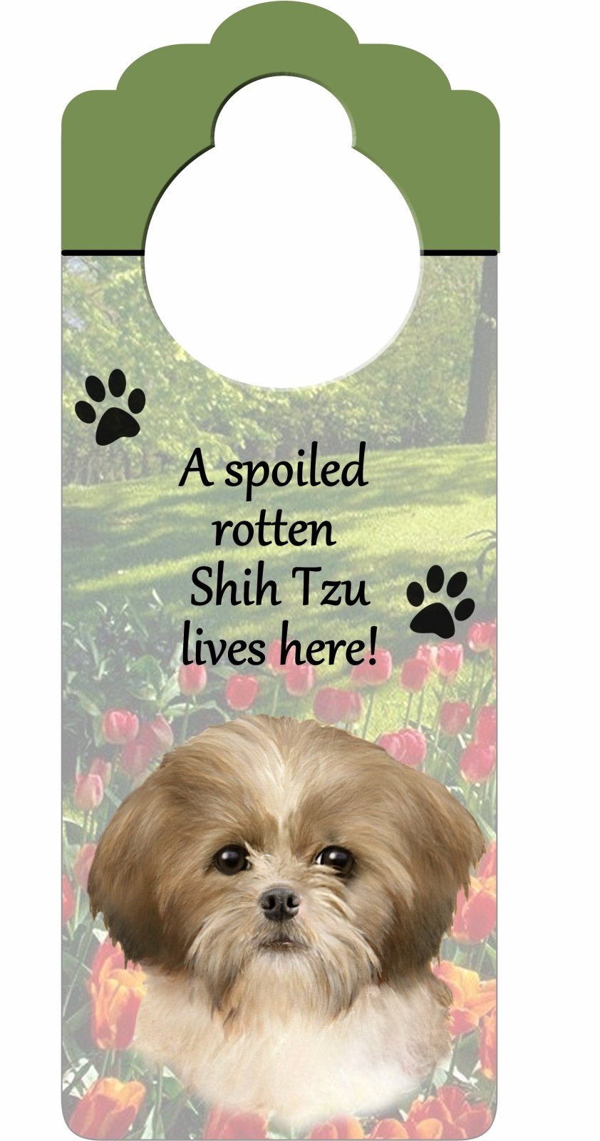 Shih Tzu Puppycut, Tan and White Wood Sign A Spoiled Rotten Shih Tzu Puppycut, Tan and White Lives Herewith Artistic Photograph 