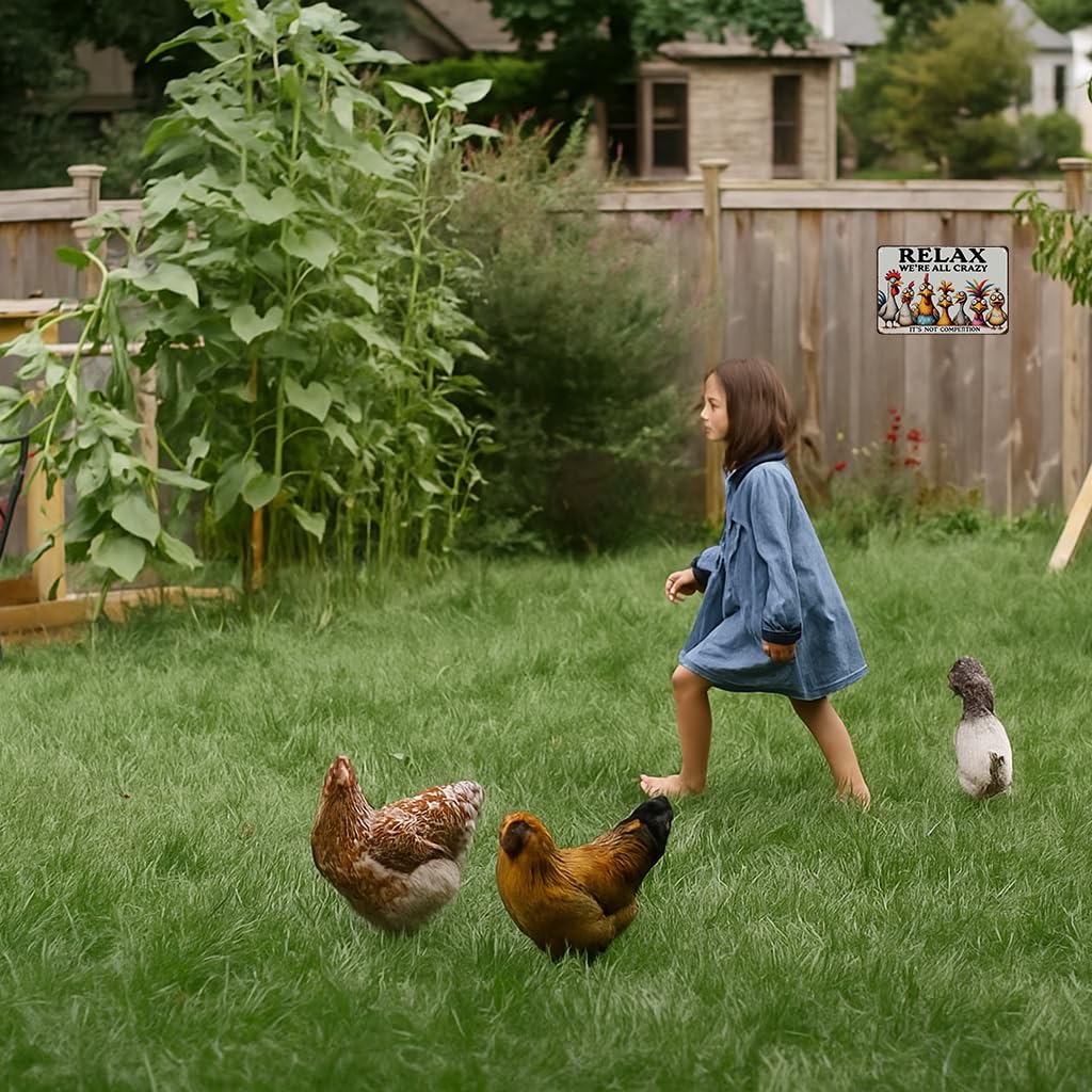Smilelife Funny Chicken Gifts Relax We?e All Crazy It s Not Competition Tin Sign for Home Farm Chicken Coop Farmhouse Kicthen G