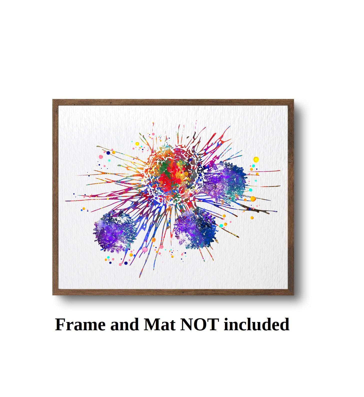Dignovel Studios 8X10 Unframed T-Cells Immune Cells Medical Art Science Histology T Cell Attacking Cancer Art Oncology Immunolog