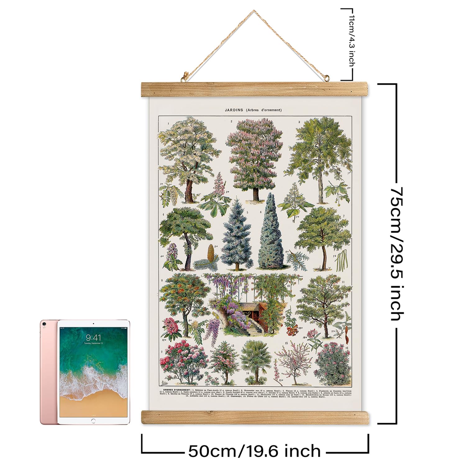 Xiaoaika Vintage Tree And Shrub Poster - Botanical Educational Retro Wall Art With Wooden Frame For Gardening Enthusiasts And La