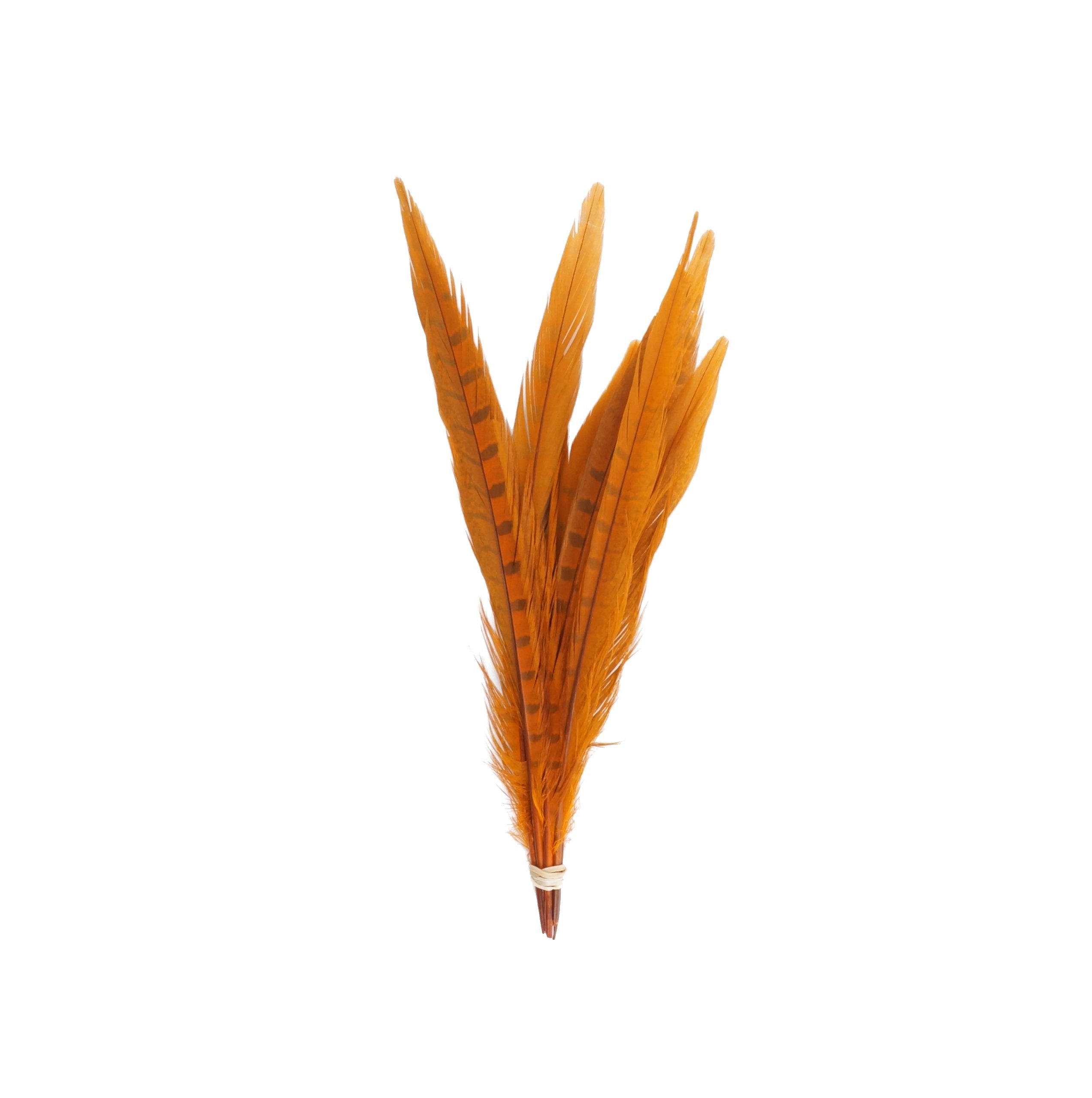 Zucker Feather Products Bleach/Natural Pheasant Tails, 8 to 14-Inch, Dyed Orange