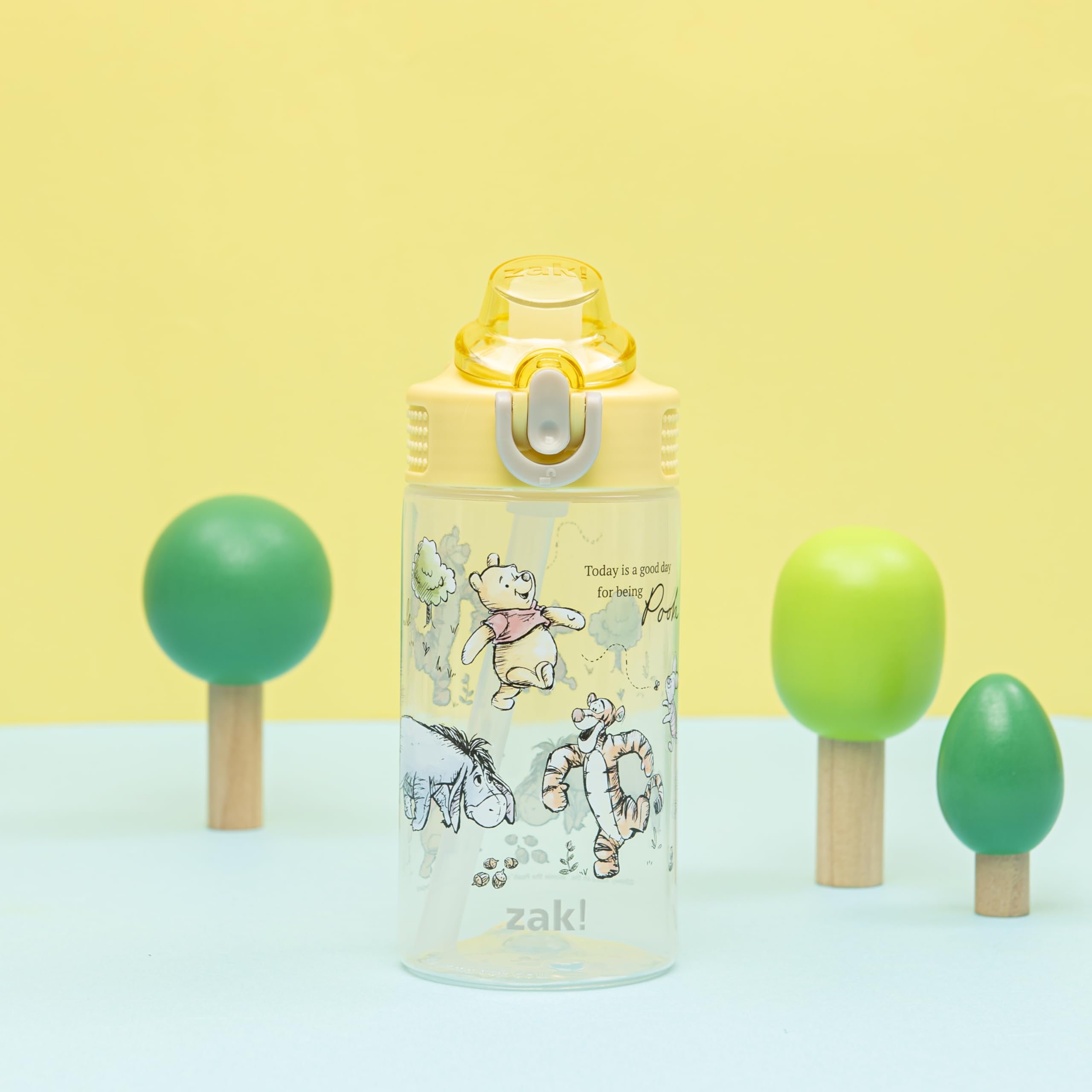 Zak Designs Disney Winnie the Pooh Sage Kids Water Bottle For School or Travel, 16oz Durable Plastic Water Bottle With Straw, Ha