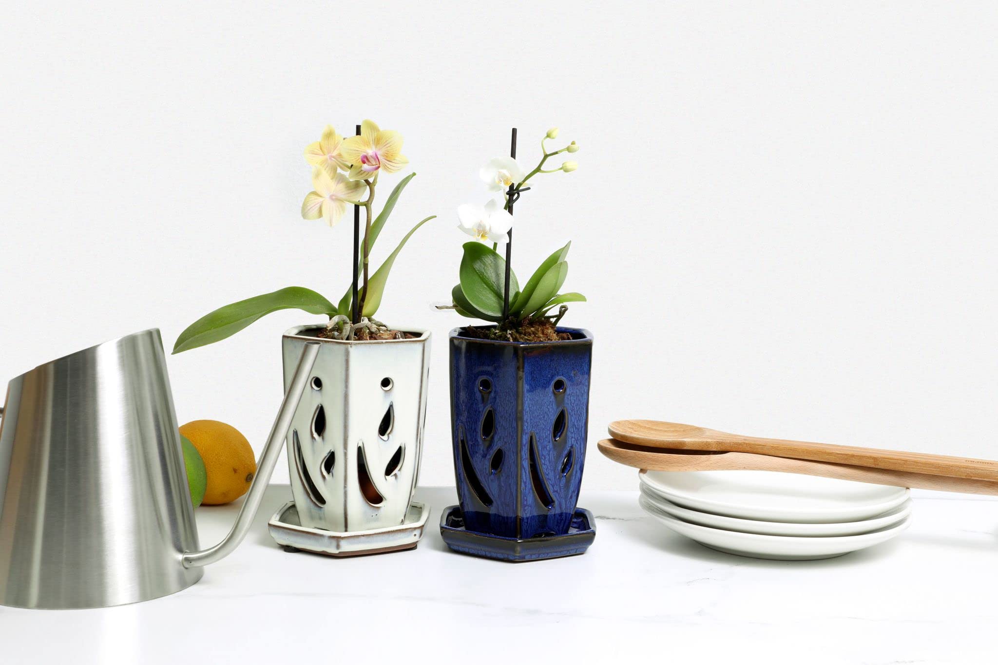 Repotme 4 X 6 Inch Ceramic Orchid Pot (Teal Jade) - Hexagon Orchid Pot With Holes