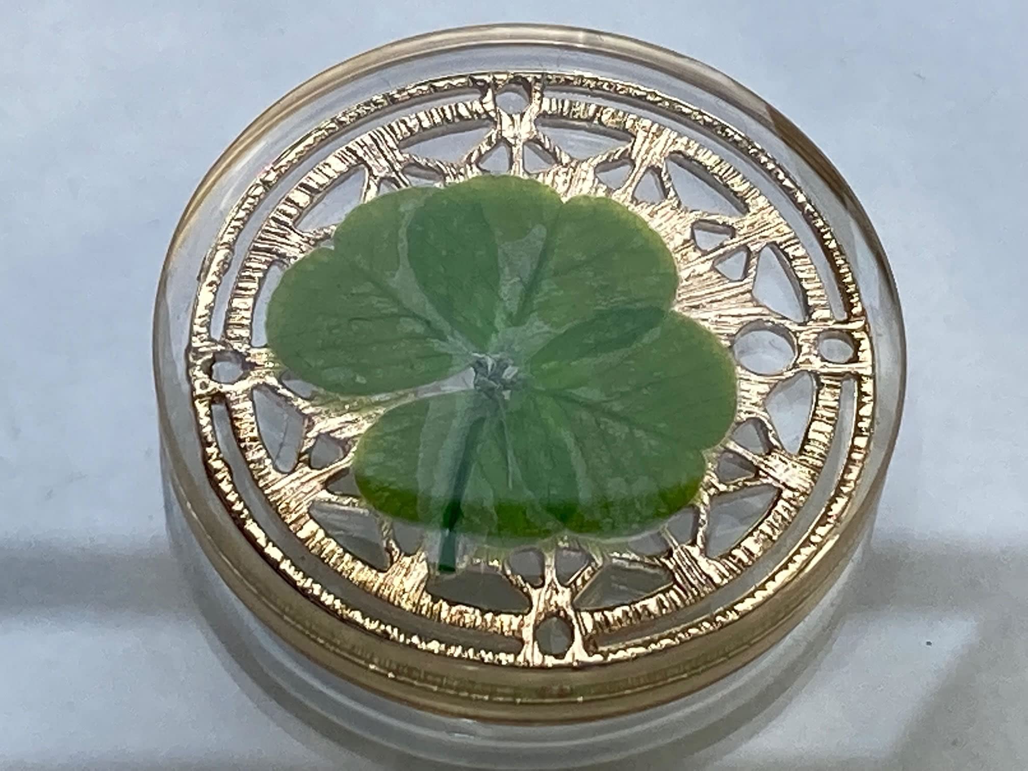 Real Four Leaf Clover Good Luck Pocket Token, Preserved, 1.25   , Including Metal Ornament (Magic Circle of The Star)