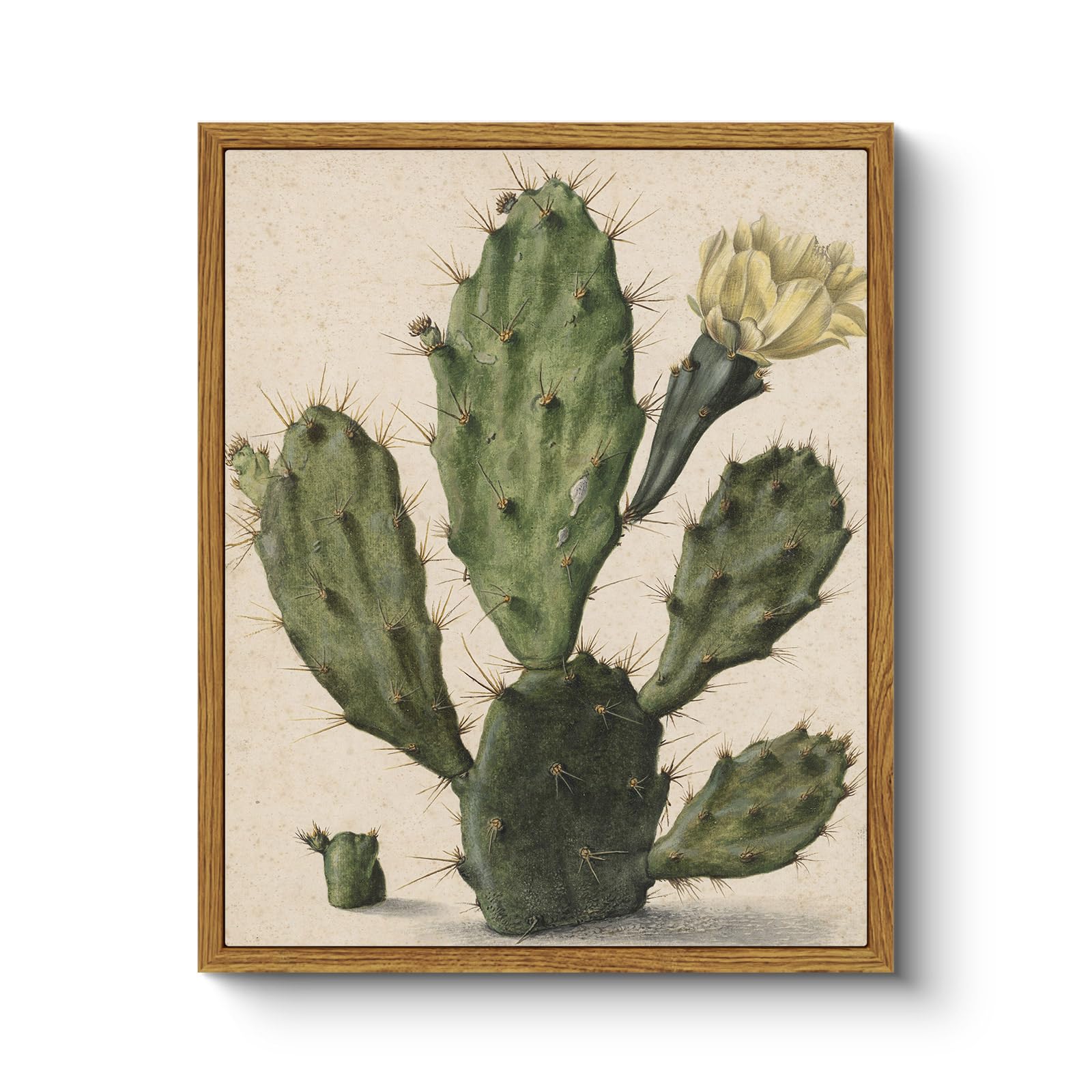 Arpeotcy Vintage Framed Cactus Wall Art, Botanical Floral Art Home Farmhouse Country Decor, Canvas Prints Art, Rustic Kitchen St