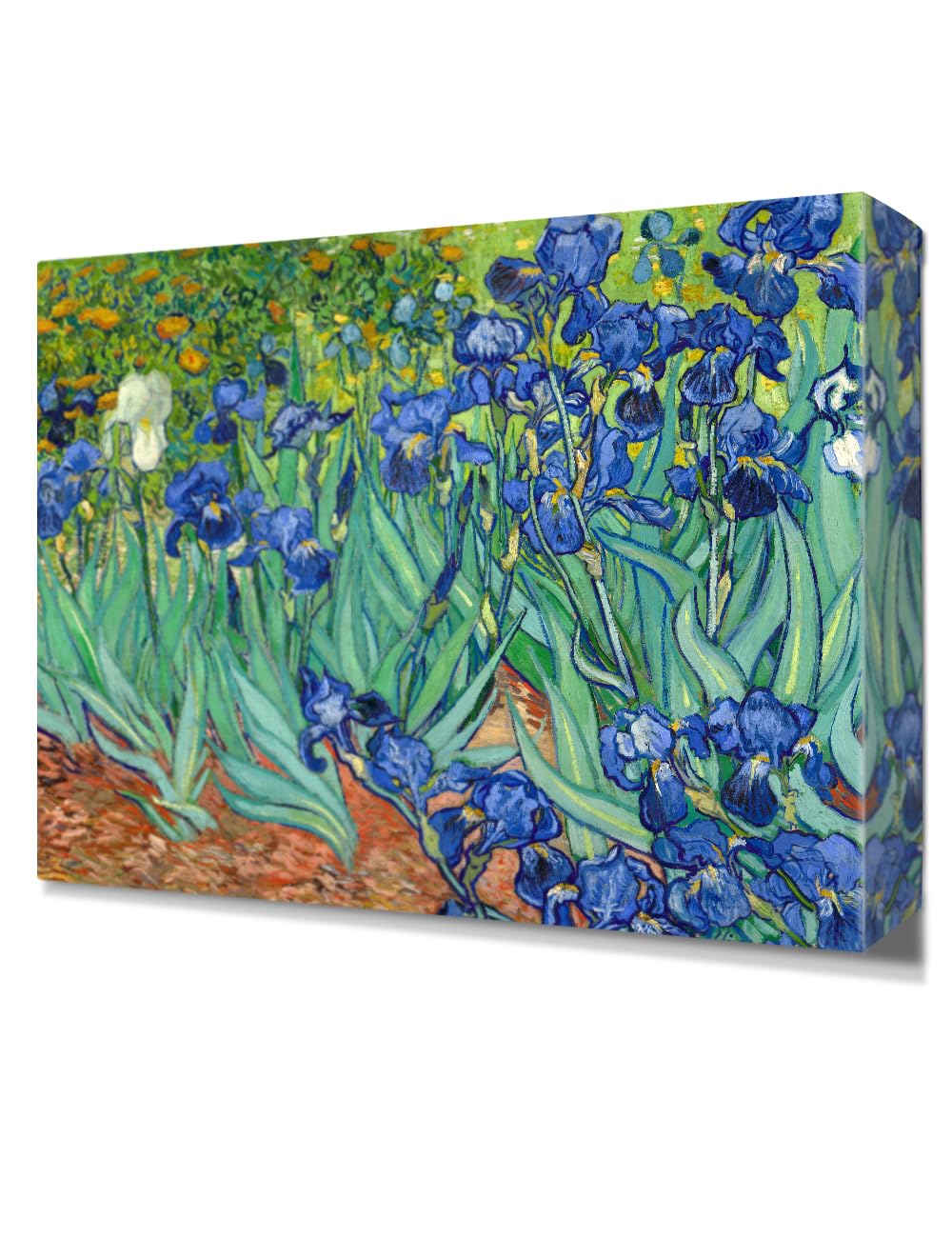 Decorarts - Irises In The Garden, Vincent Van Gogh Reproductions. Oversize Giclee Canvas Print Wall Art For Home Wall Decor. 40X