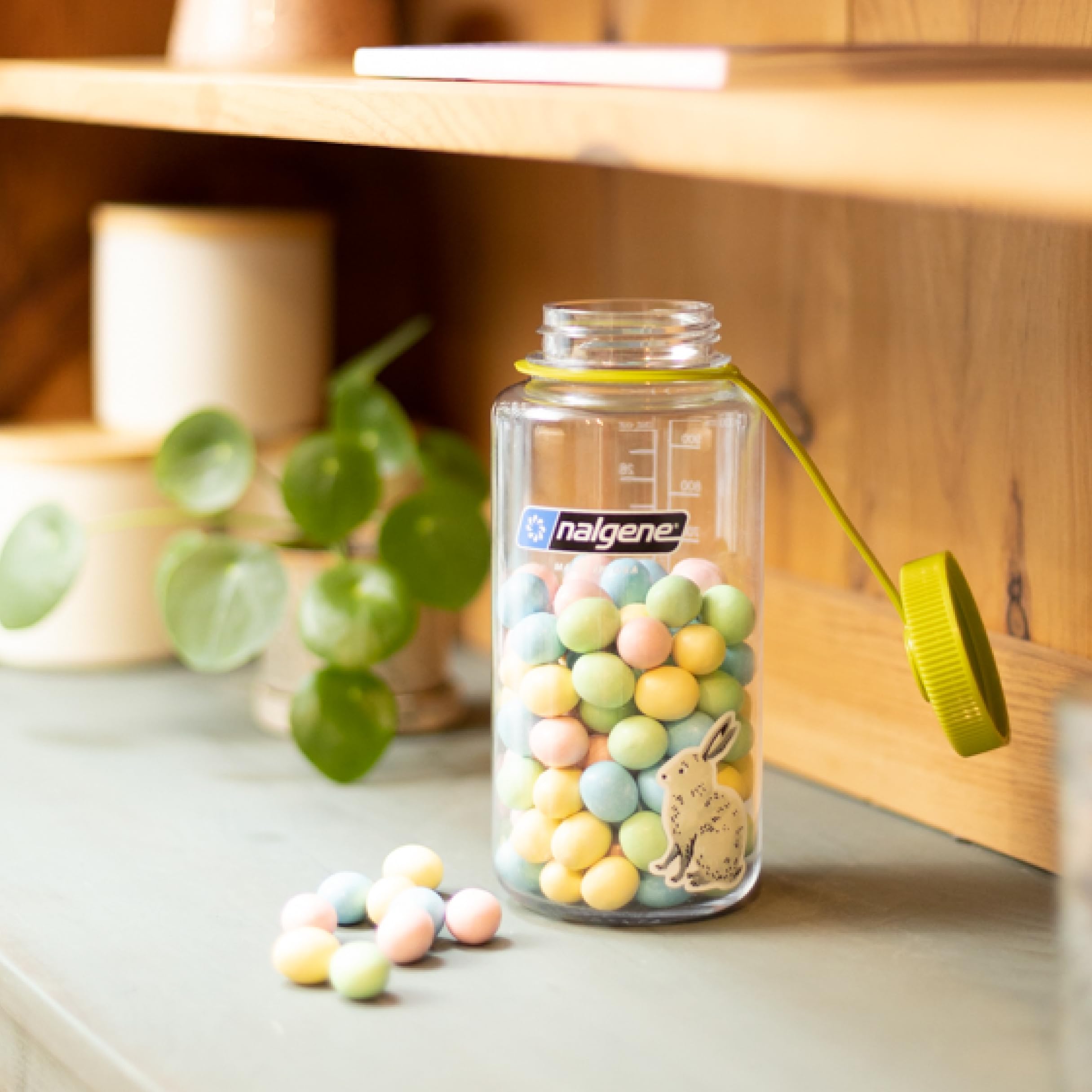 Nalgene Sustain 32 Oz. Wide Mouth Water Bottle