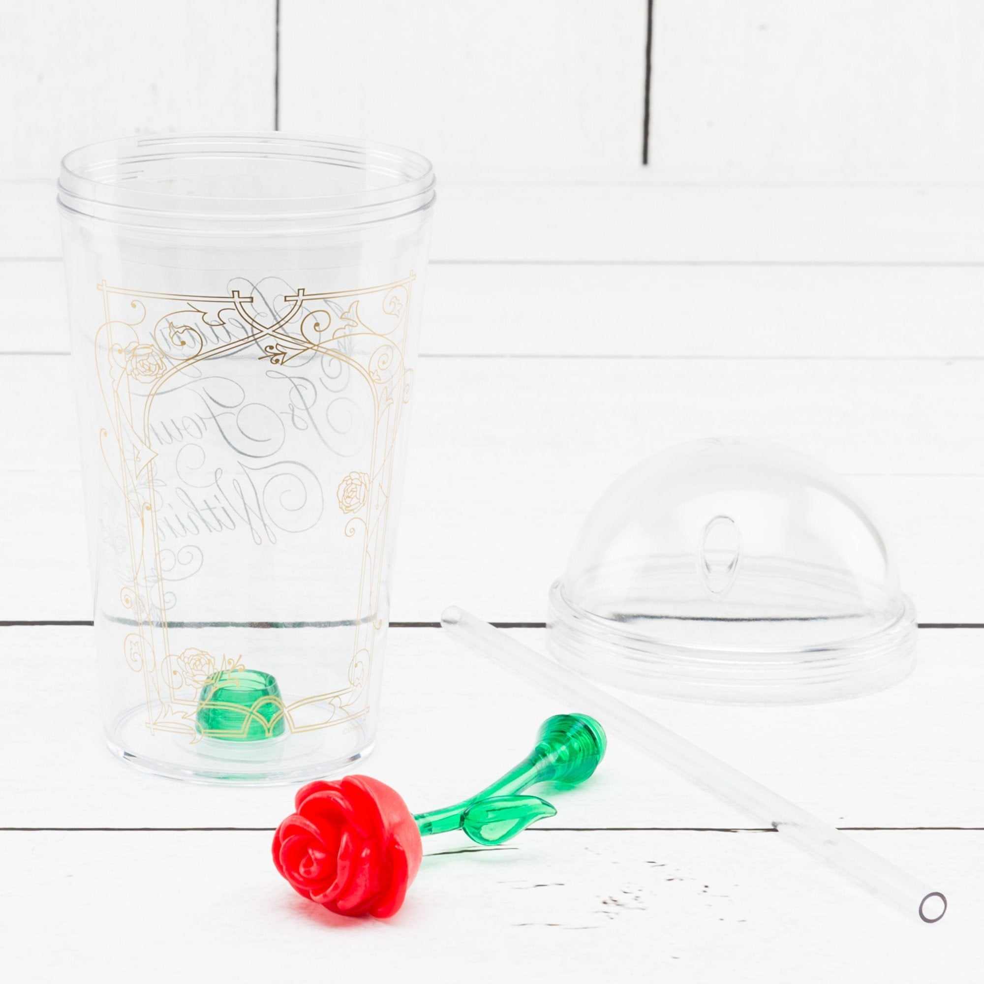 Zak Designs Beauty And The Beast Kid'S Tumbler, 1 Count (Pack Of 1), Red,Green
