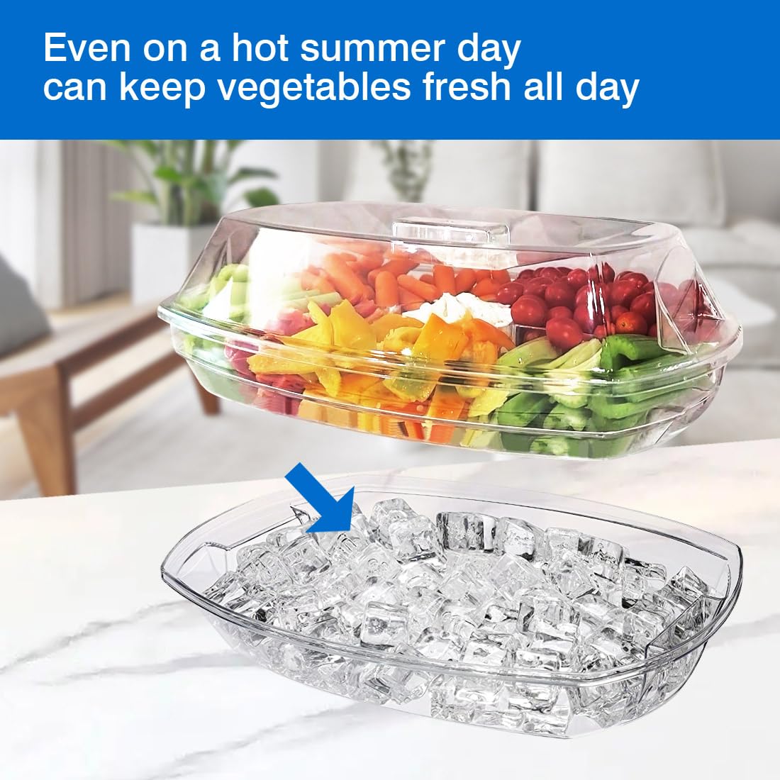 Innovative Life High-End Veggie Fruit Tray With Lid, Ice Chilled Vegetable Serving Platter With Ice Tray On Bottom, Perfect For