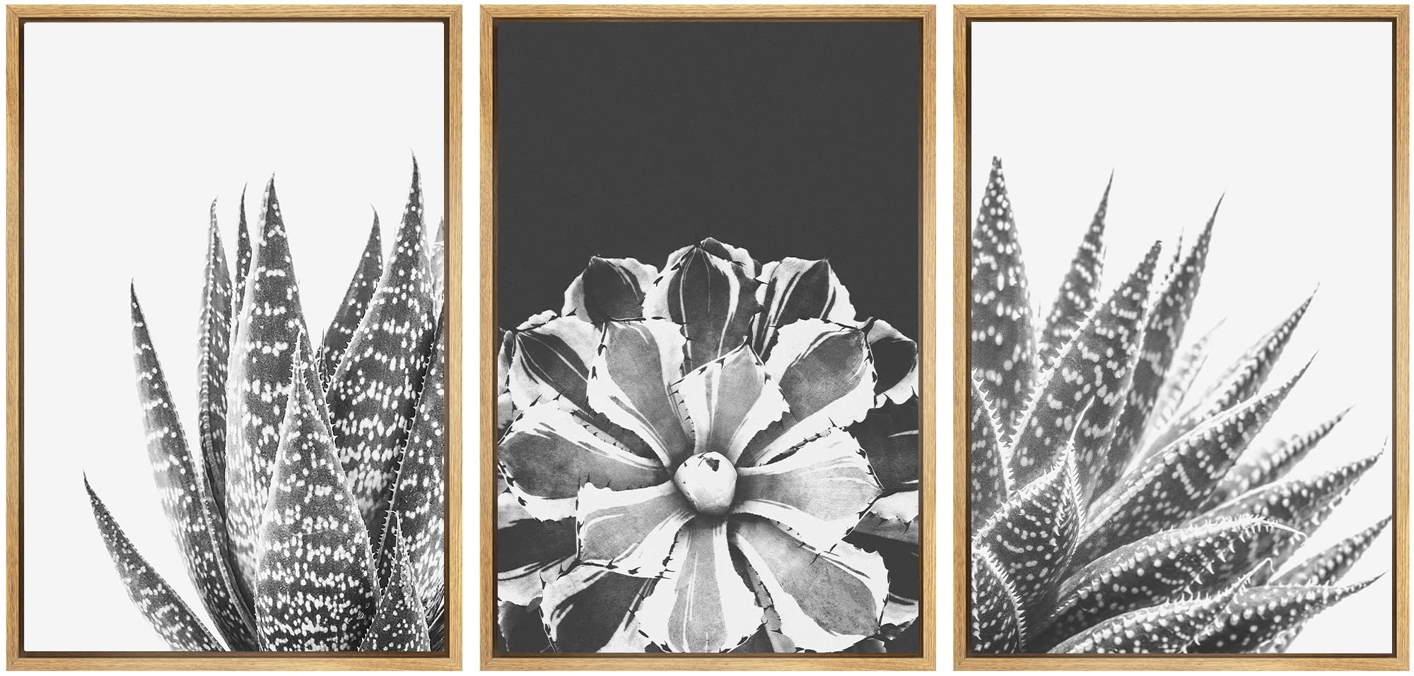 Signwin Framed Wall Art Print Set Sempervivum & Haworthia Succulent Set Nature Plants Photography Modern Art Closeup Relax/Calm