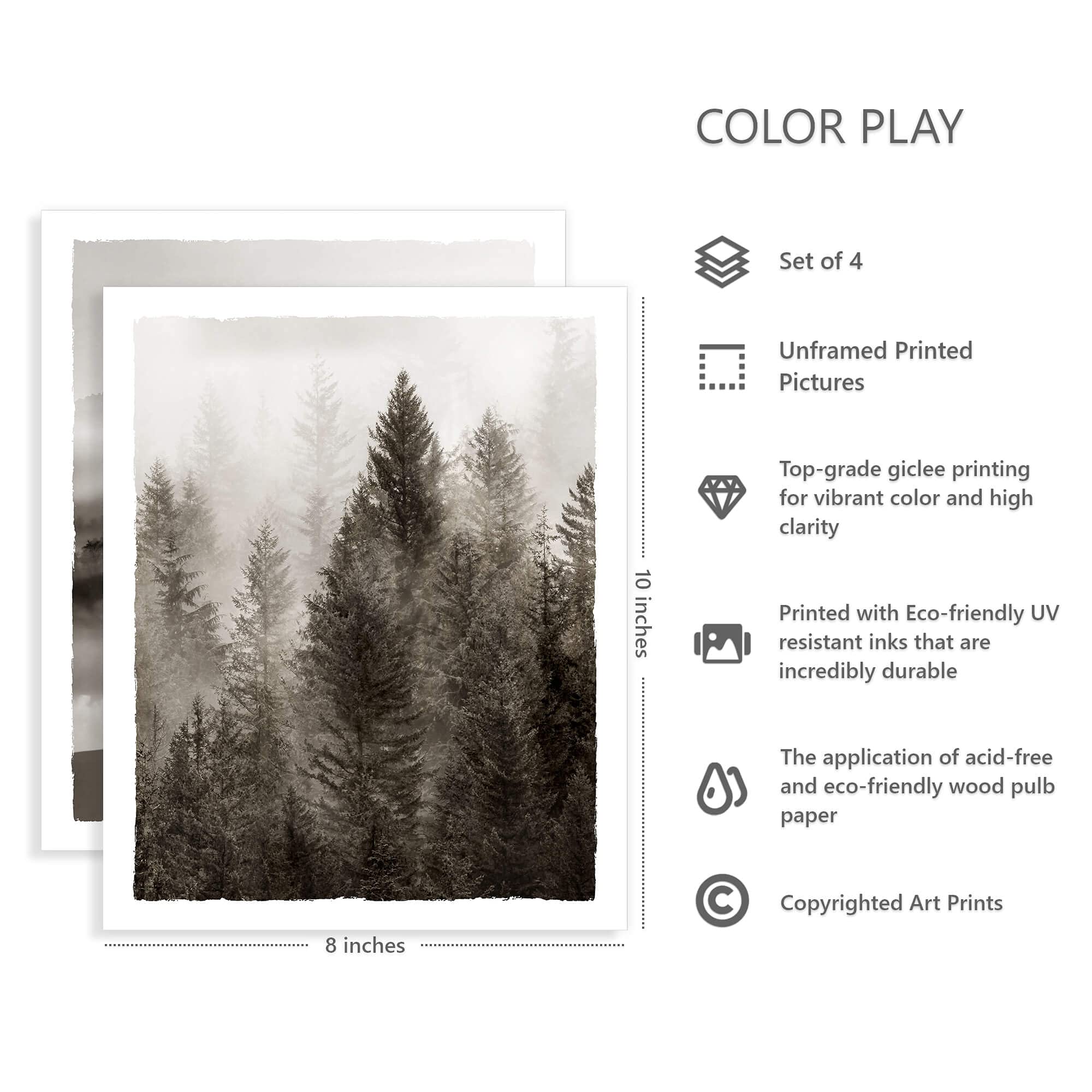 Beach Pictures Coastal Wall Art Set: Unframed Seascape Prints Seabird Bird Artwork For Bedroom Living Room Wall Decor 4 Pieces