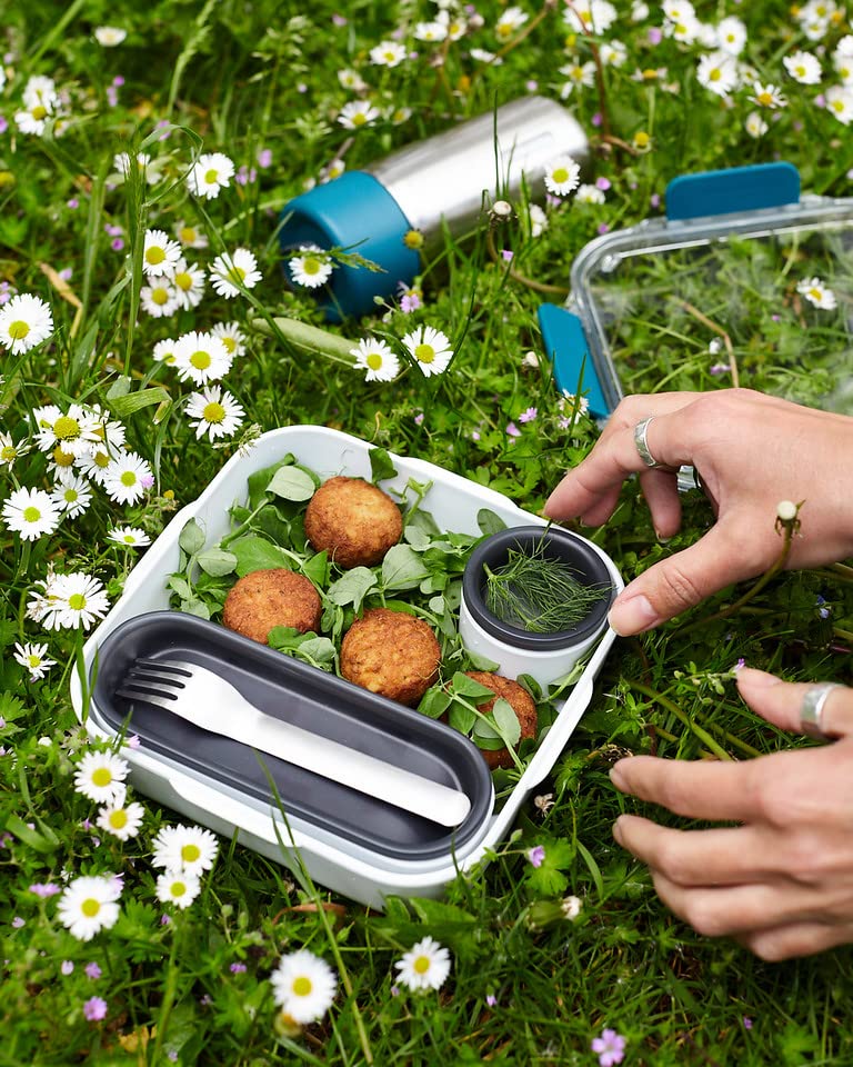 Black + Blum Bento Box Style Compartment Food Container | Packed Lunch Box With Stainless-Steel Travel Fork, Leak-Proof, Microwa