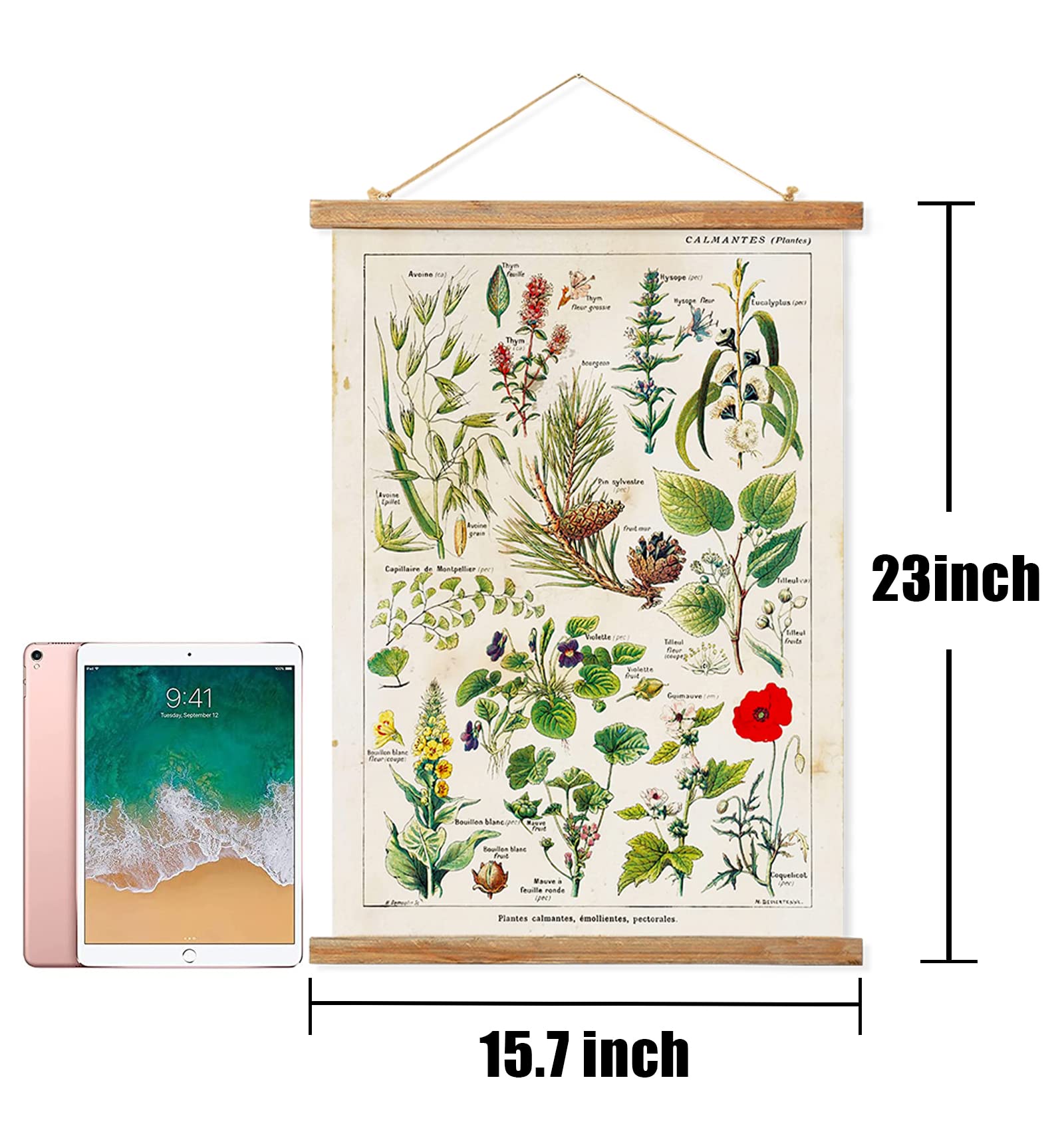 2 Pack Vintage Botanical Plant Poster Hanger Frame, Retro Style Wall Art Prints, Printed On Linen With Natural Wooden Frames, Fo