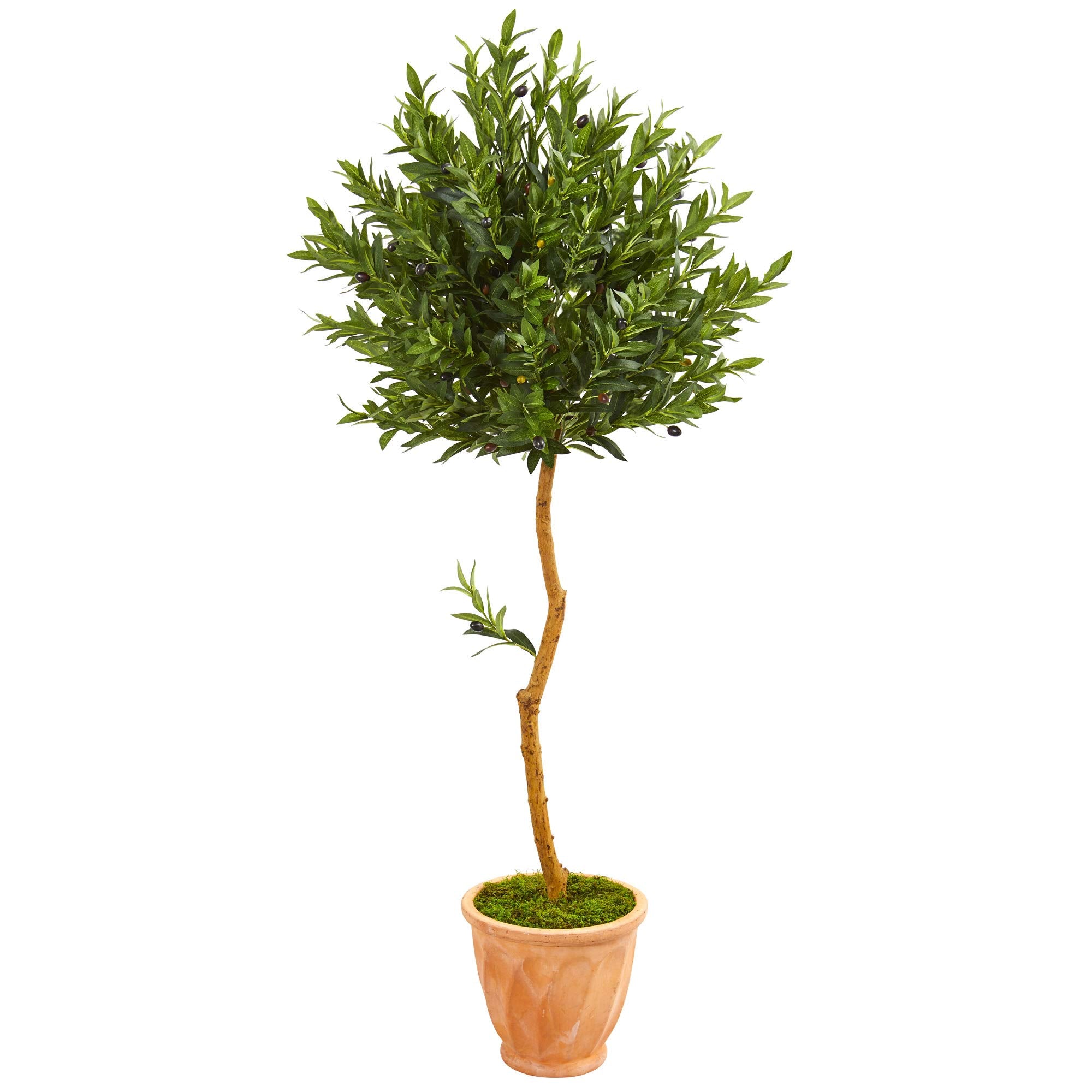 Nearly Natural 63-in. Olive Topiary Artificial Terra Cotta Planter UV Resistant (Indoor/Outdoor) Silk Trees, Green