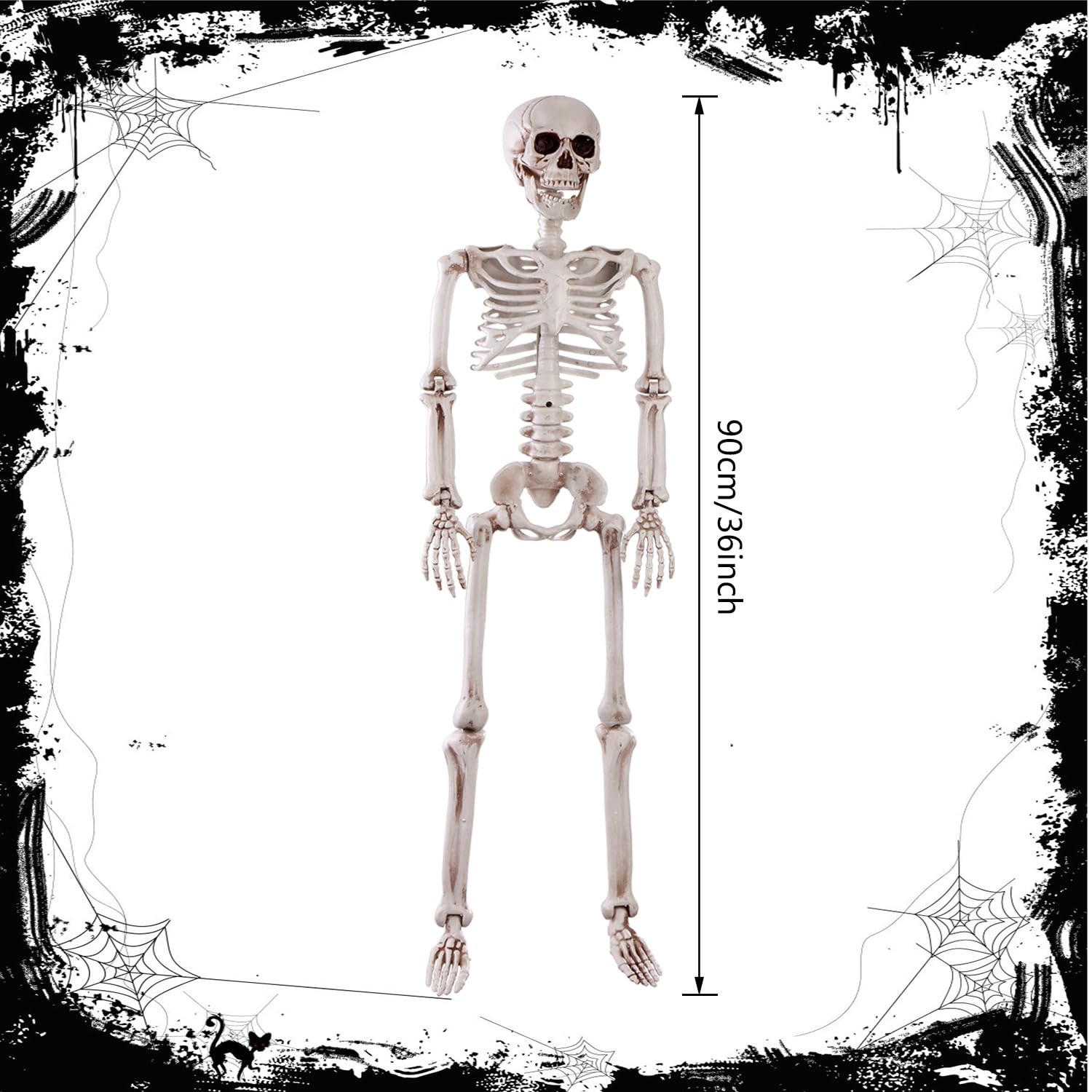 Jialwen 36'' Halloween Posable Skeleton Decorations, 3Ft Realistic Plastic Human Full Body Bones With Movable Joints Skeleton Fo