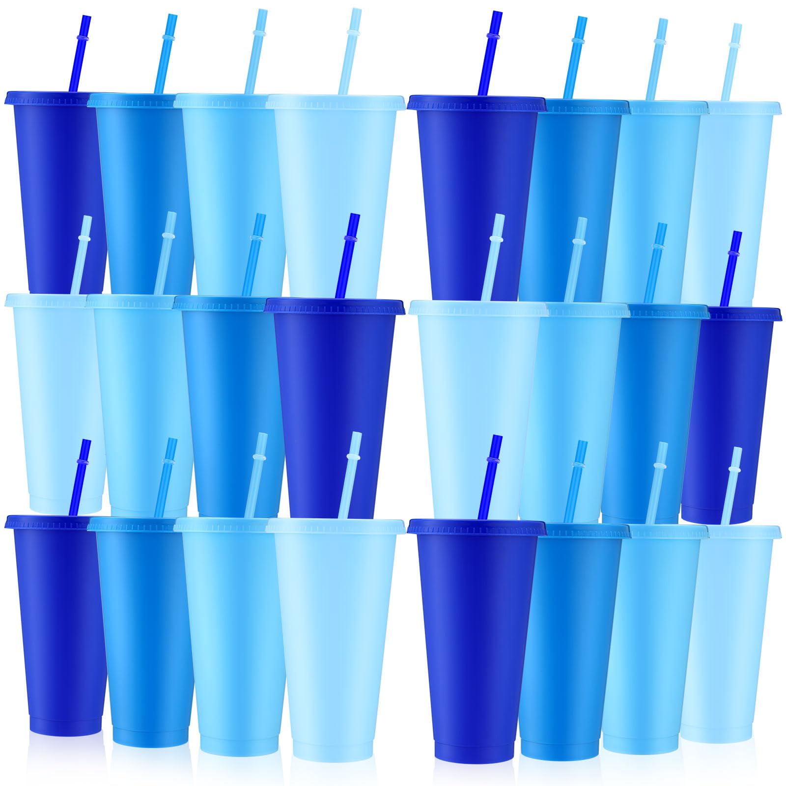 Skylety 24 Pcs Winter Plastic Cups with Lids and Straws 24 oz Dusty Blue Reusable Tumbler Large Travel Mug Cup Coffee Beverage D