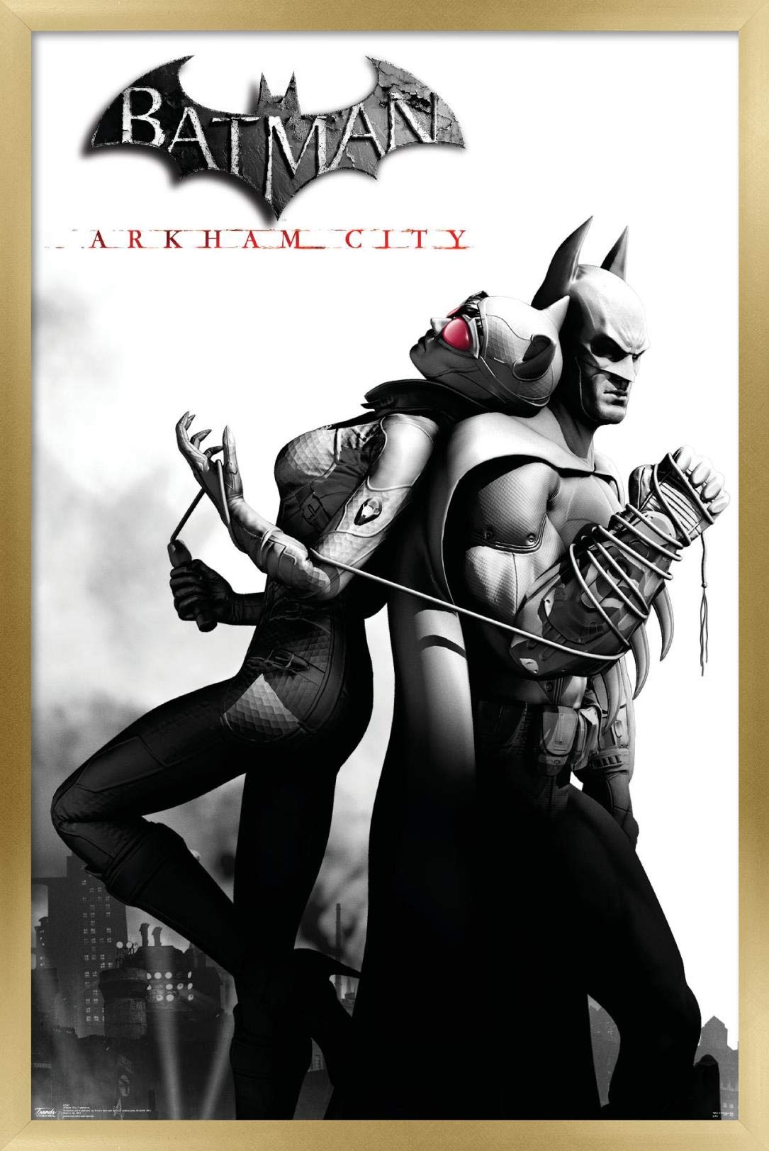 Trends International Dc Comics Video Game - Arkham City - Catwoman Wall Poster, 14.725'' X 22.375'', Gold Framed Version