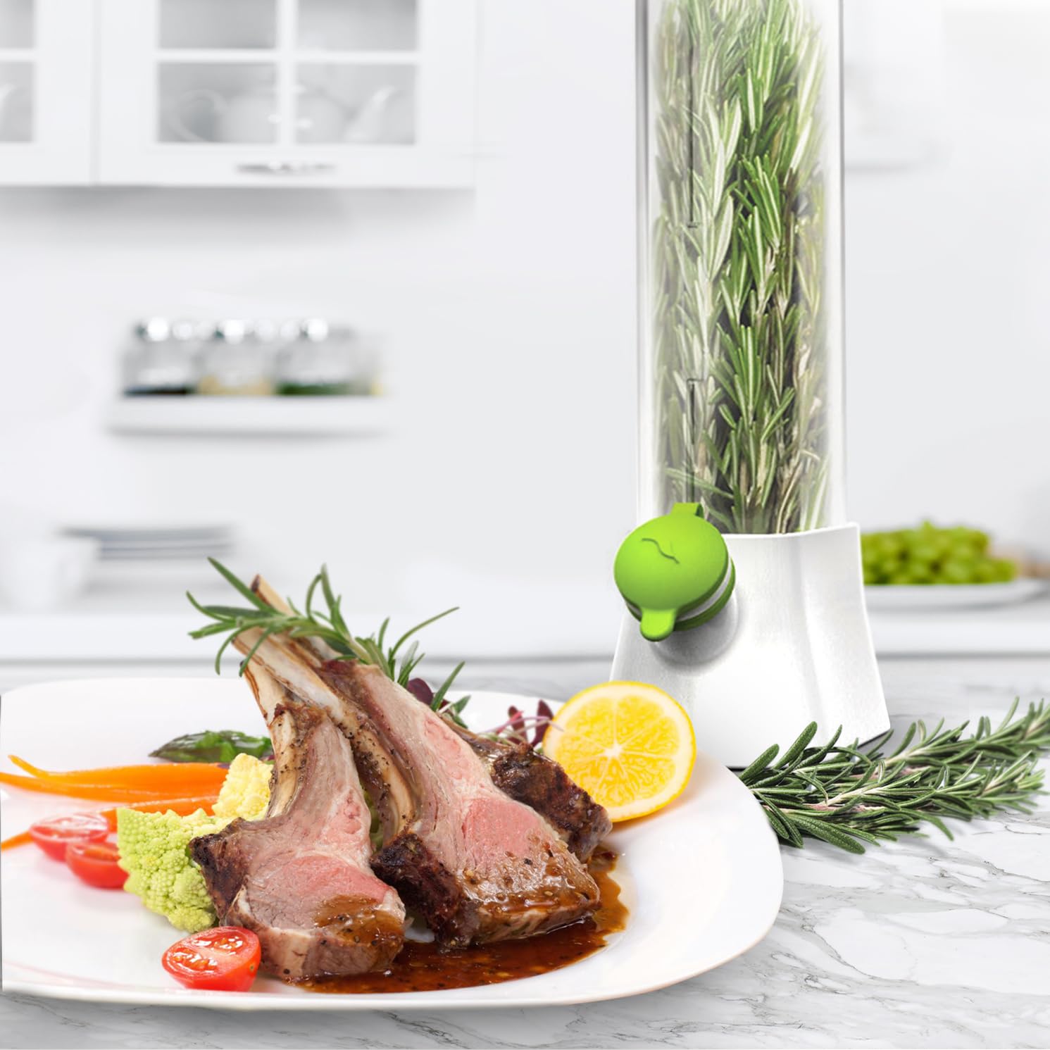 Prepara Eco Herb Savor Pod, Green 6.2 X 2.9 X 10.7 Inches