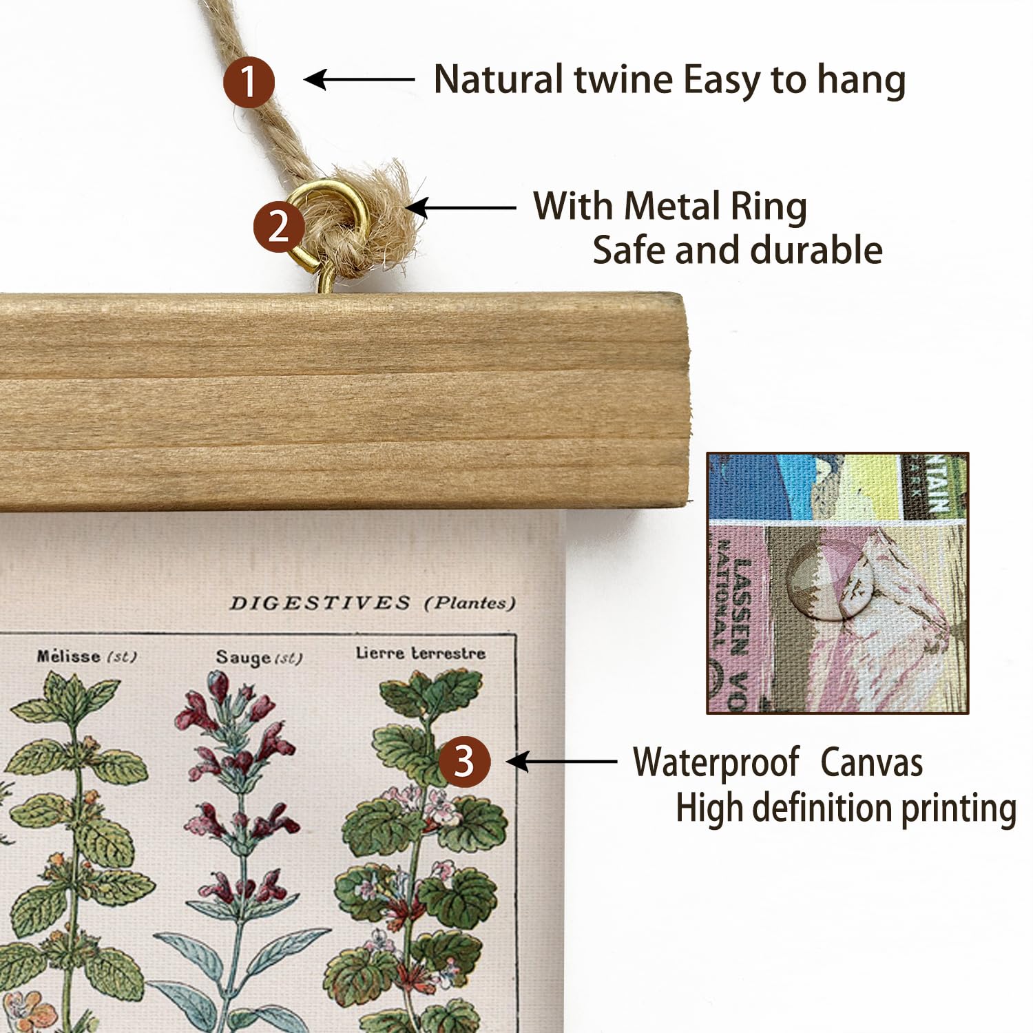 Xiaoaika Vintage Botanical Herbs Illustration Poster - Retro Medicinal Plant Chart With Wooden Frame - Educational Herbal Refere