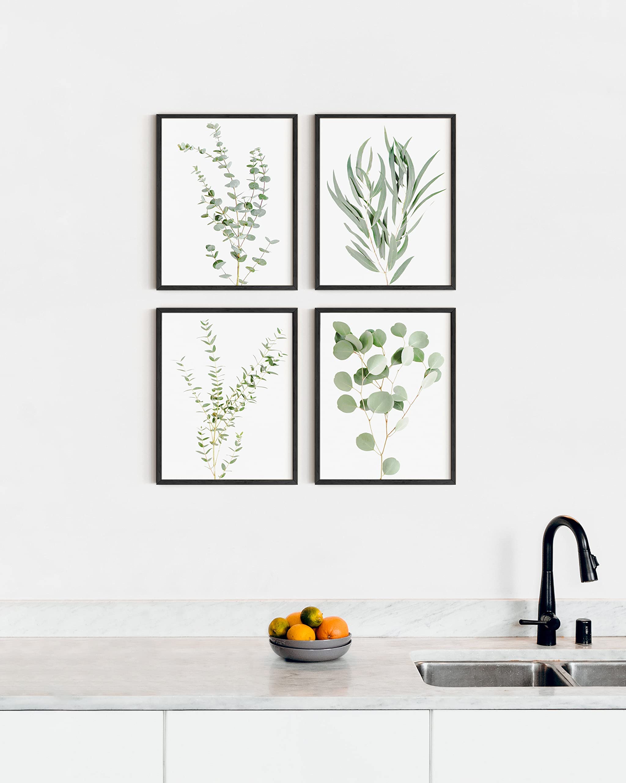 HAUS AND HUES Botanical Plant Wall Art Prints - Set of 4 Plant Wall Decor Prints Floral Kitchen Flower Leaves Wall Art Boho Leaf Eucalyptus (11x14  UNFRAMED)