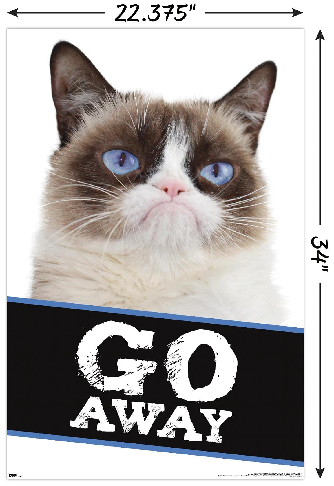 Trends International Grumpy Cat Go Away Wall Poster 22.375'' X 34''