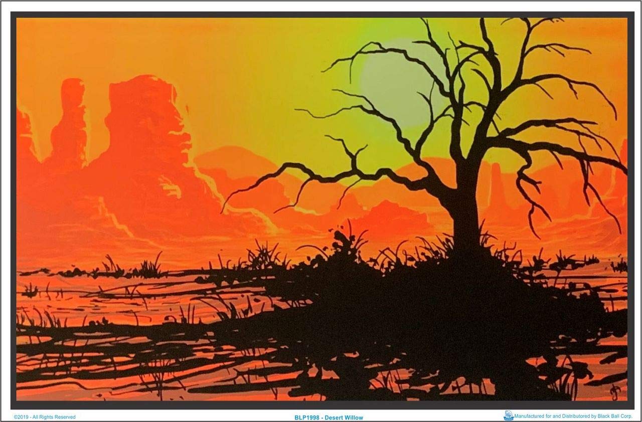Desert Willow - Laminated - Blacklight Poster - 35.5'' X 23.5''