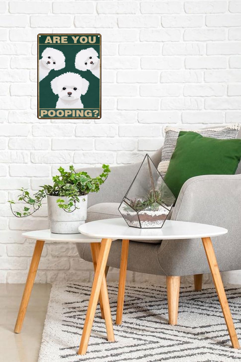 Toppacific Bichon Frise Dog 12X16 Inch Are You Pooping Sign Bathroom Decor- Dog Metal Poster Dog Lover Gift Art Funny Dogs Wall