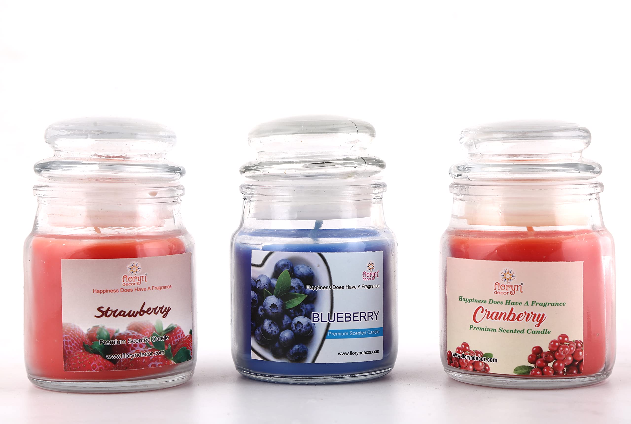 Floryn Decor Scented Cookie Jar Candle | Pack of 3 | Scented Jar Candle (Blueberry | Strawberry | Cranberry)
