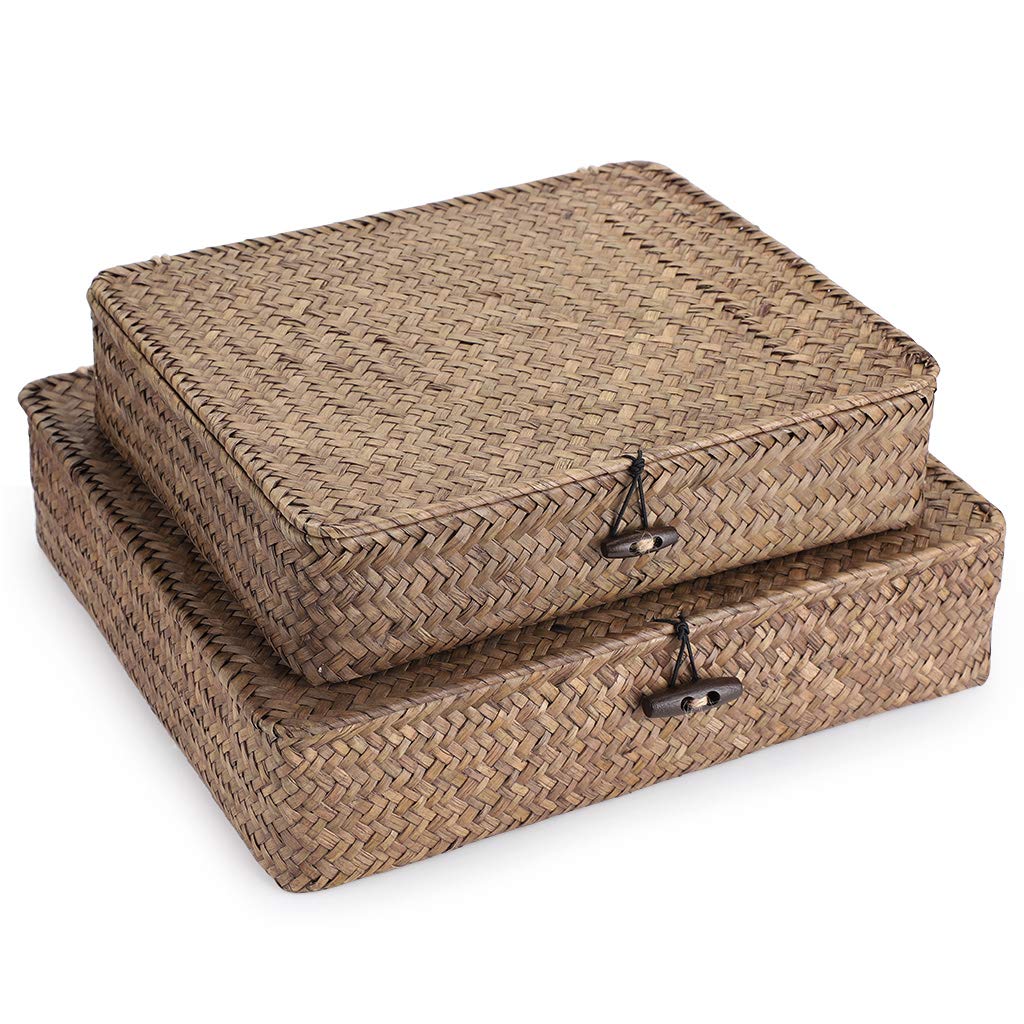 Hipiwe Set Of 2 Flat Woven Wicker Storage Bins With Lid Natural Seagrass Basket Multipurpose Home Boxes For Shelf Organizer (Cof
