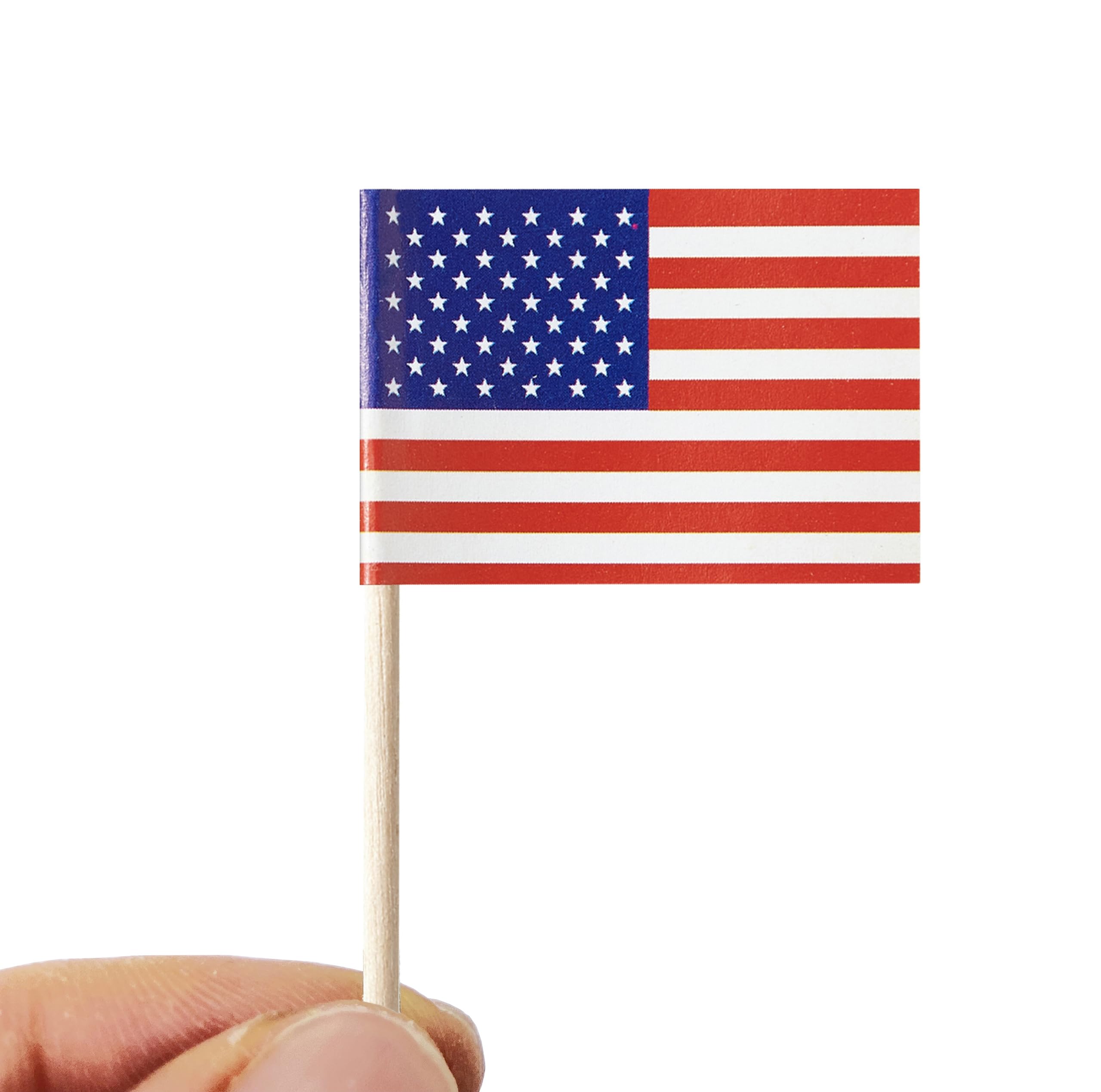 Stidsds 200 Countries Toothpick Flags Mini Small Country National Cupcake Toppers Stick Flag World International Festival Party
