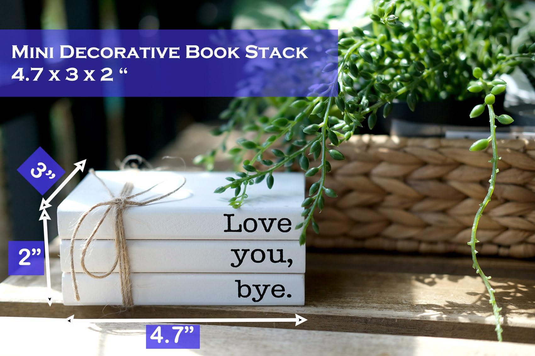 RUKEJUNE Cute Love You Bye Mini Wooden Faux Books, Express Love and Warm Family Sign for Office Front Door Bathroom Hallway Entr