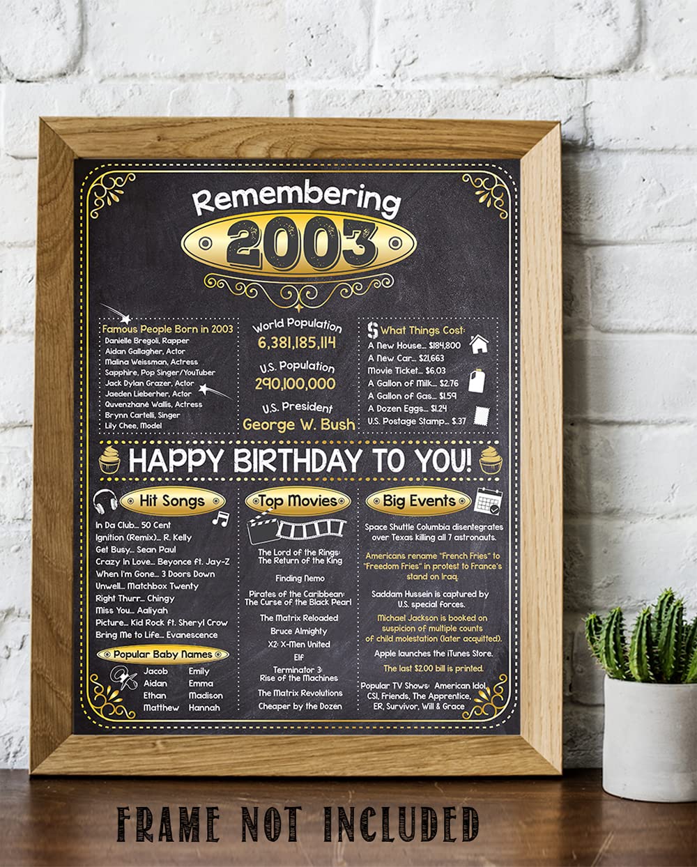 20th Birthday Party Decorations for 20th Birthday (Twenty) - Remembering The Year 2003 - Party Supplies - Gifts for Men and Women Turning 20 - Back In 2003 Birthday Card 11x14 Unframed Print