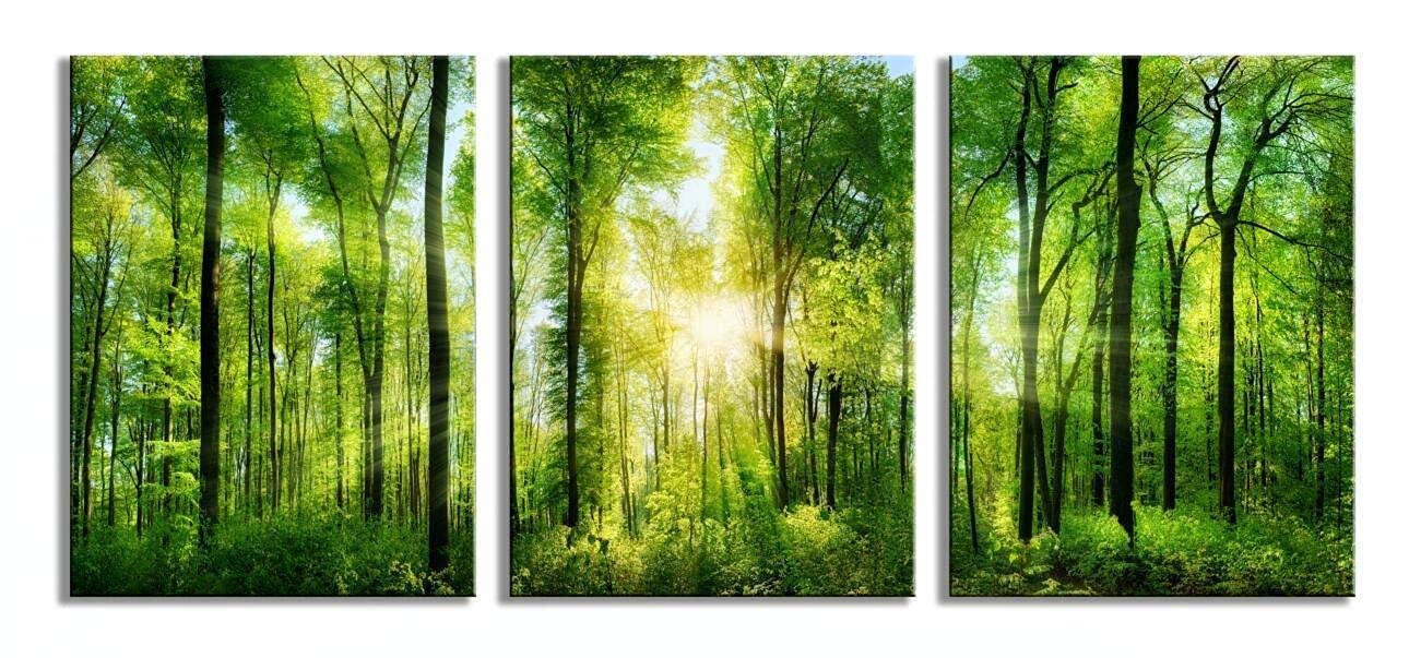 Hlj Art 3 Panels Morning Sunrise Green Trees Landscape Sunshine Over Forest Photograph Printed On Canvas For Home Wall Decoratio