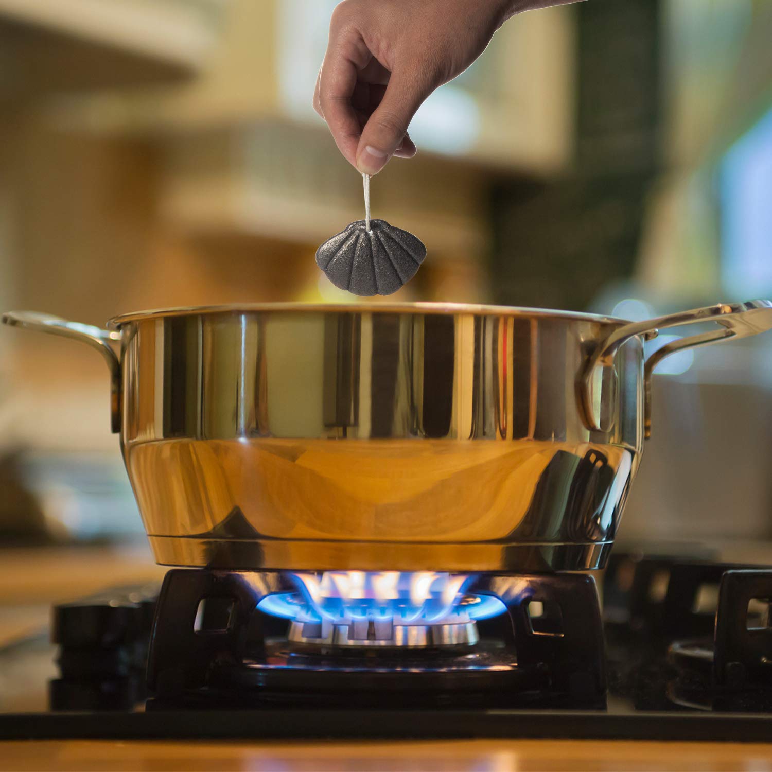 2 Packs Of Iron Seashell With Bag - A Natural Source Of Iron To Reduce The Risk Of Deficiency, An Effective And Safe Cooking Too