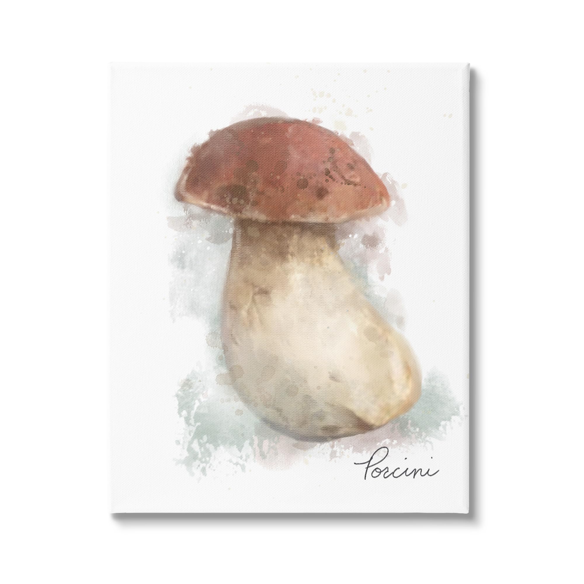 Stupell Industries Abstract Porcini Mushroom Canvas Wall Art by Matthew Piotrowicz