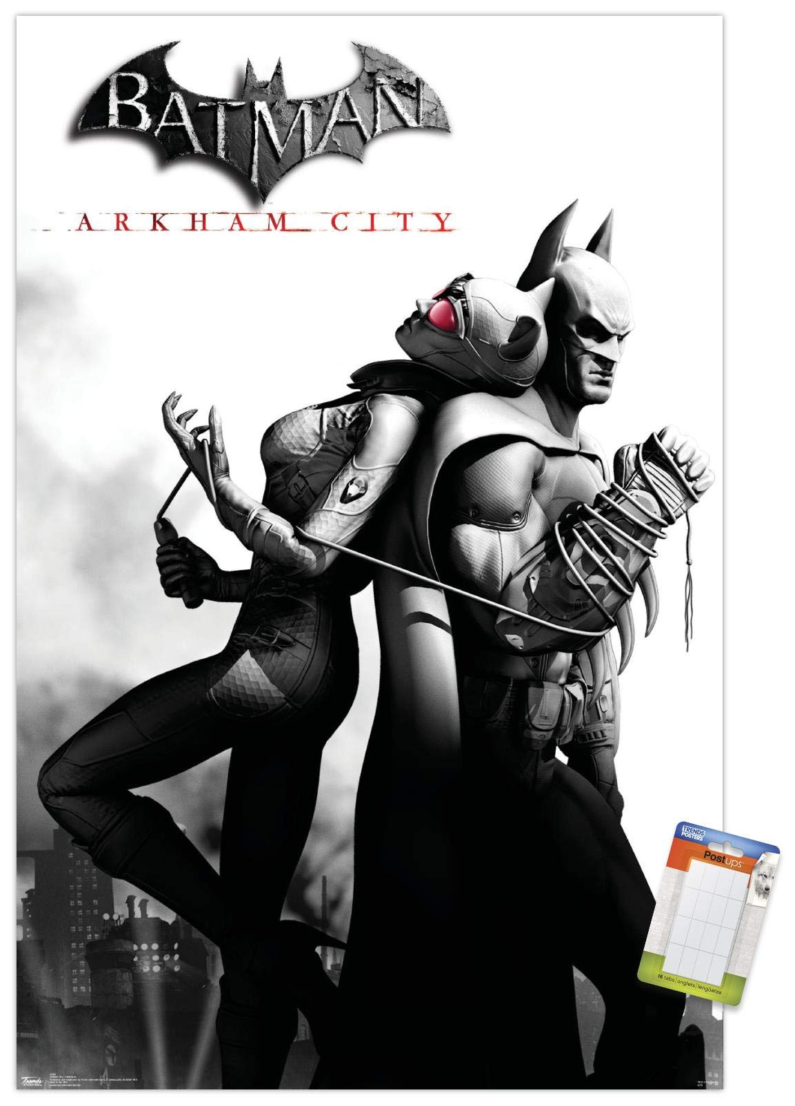 Trends International Dc Comics Video Game - Arkham City - Catwoman Wall Poster, 22.375'' X 34'', Premium Poster & Mount Bundle