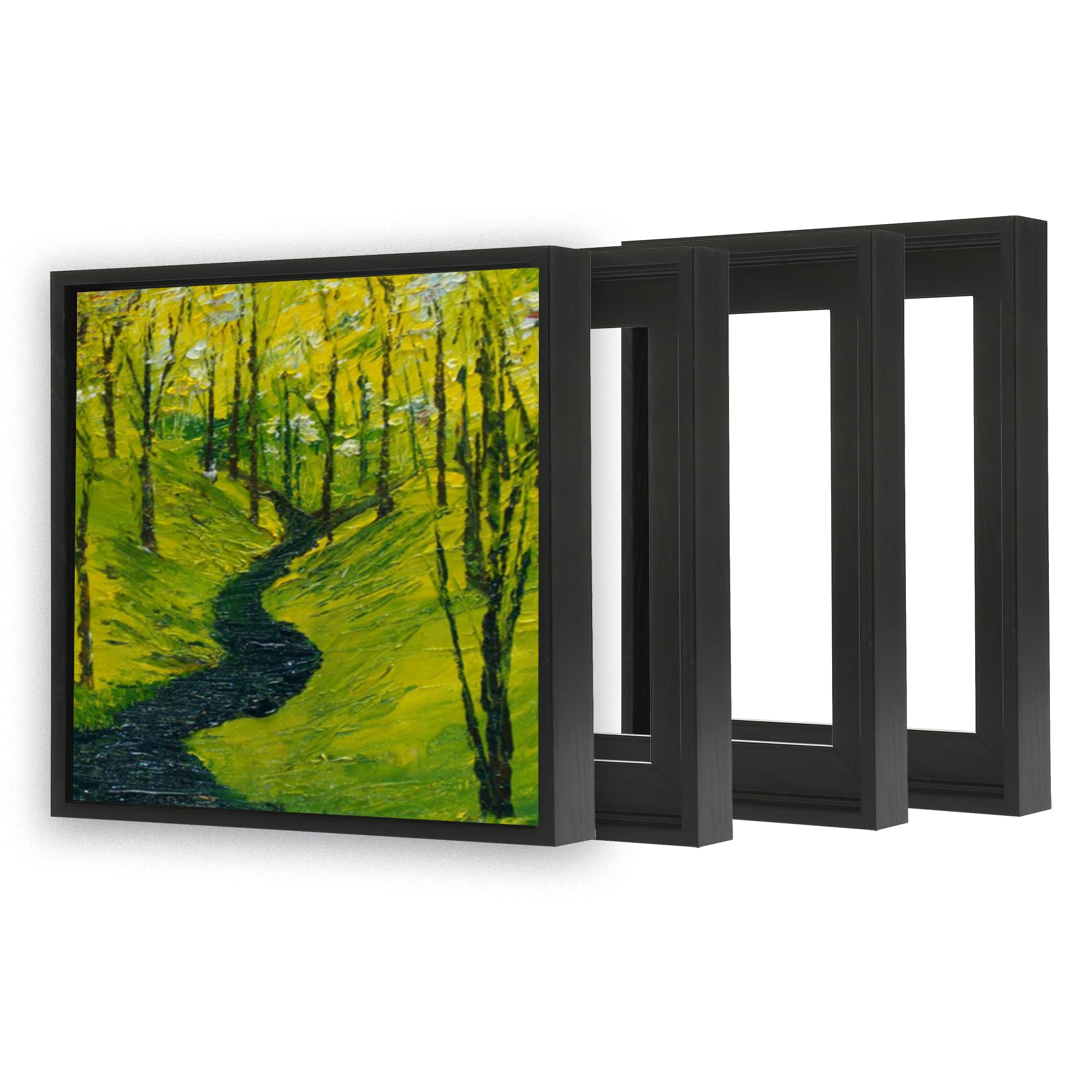 Vareihnaz Canvas Floater Frame For Canvas Paintings (12X12, Black)