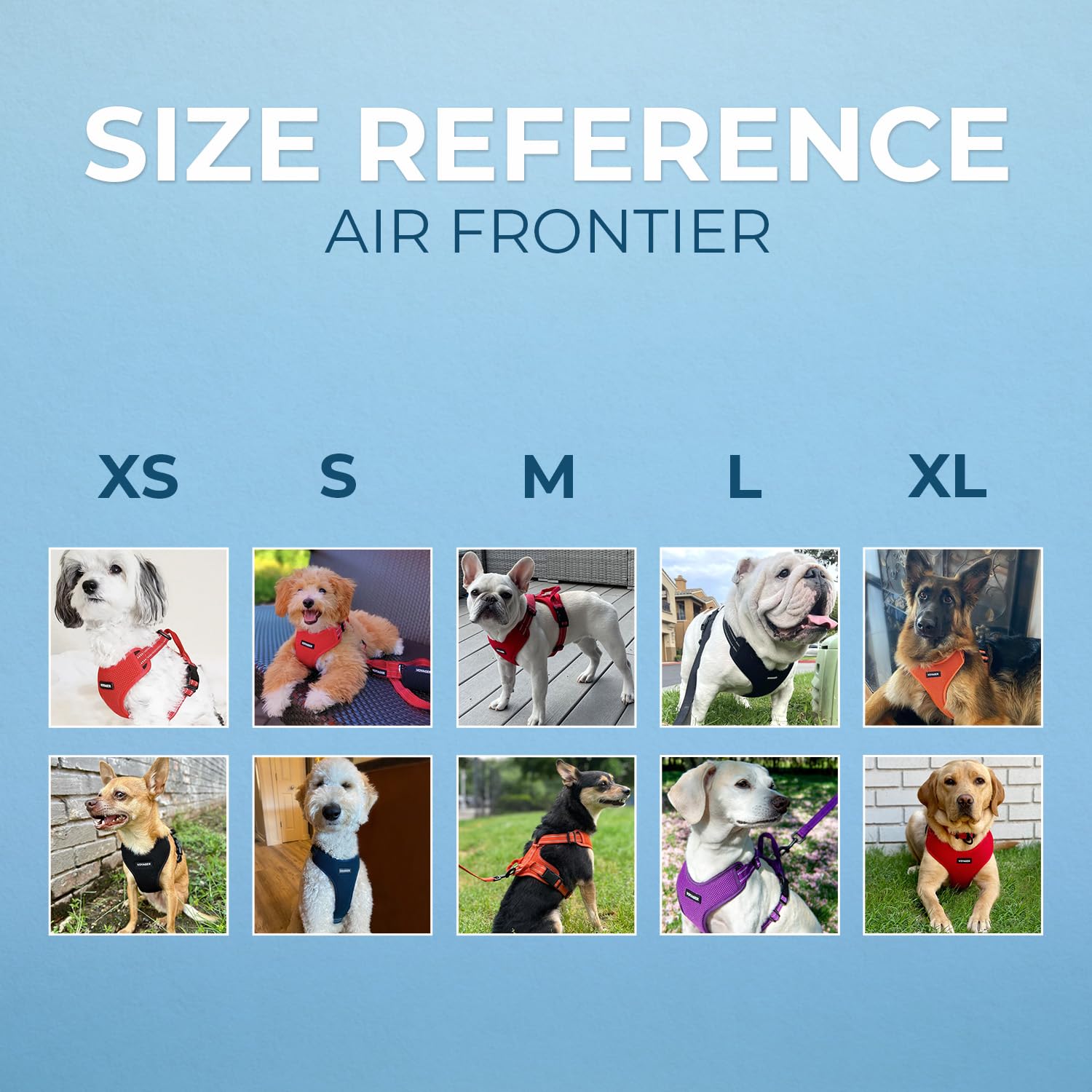 Air Frontier Mesh Dog Harness With Steel Leash D-Ring, Reflective Stitching, And Lightweight Breathable No-Pull Design, Adjustab