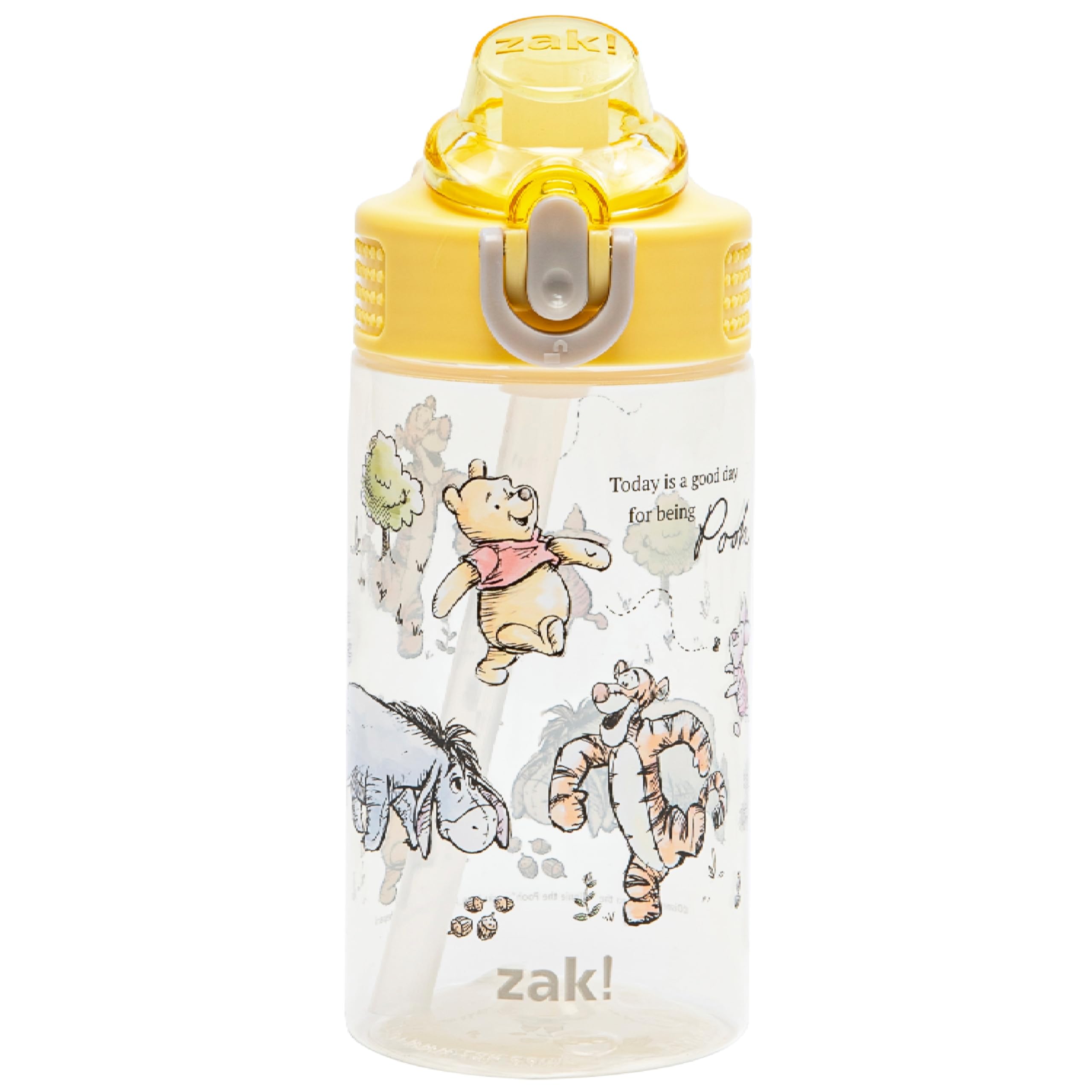 Zak Designs Disney Winnie the Pooh Sage Kids Water Bottle For School or Travel, 16oz Durable Plastic Water Bottle With Straw, Ha