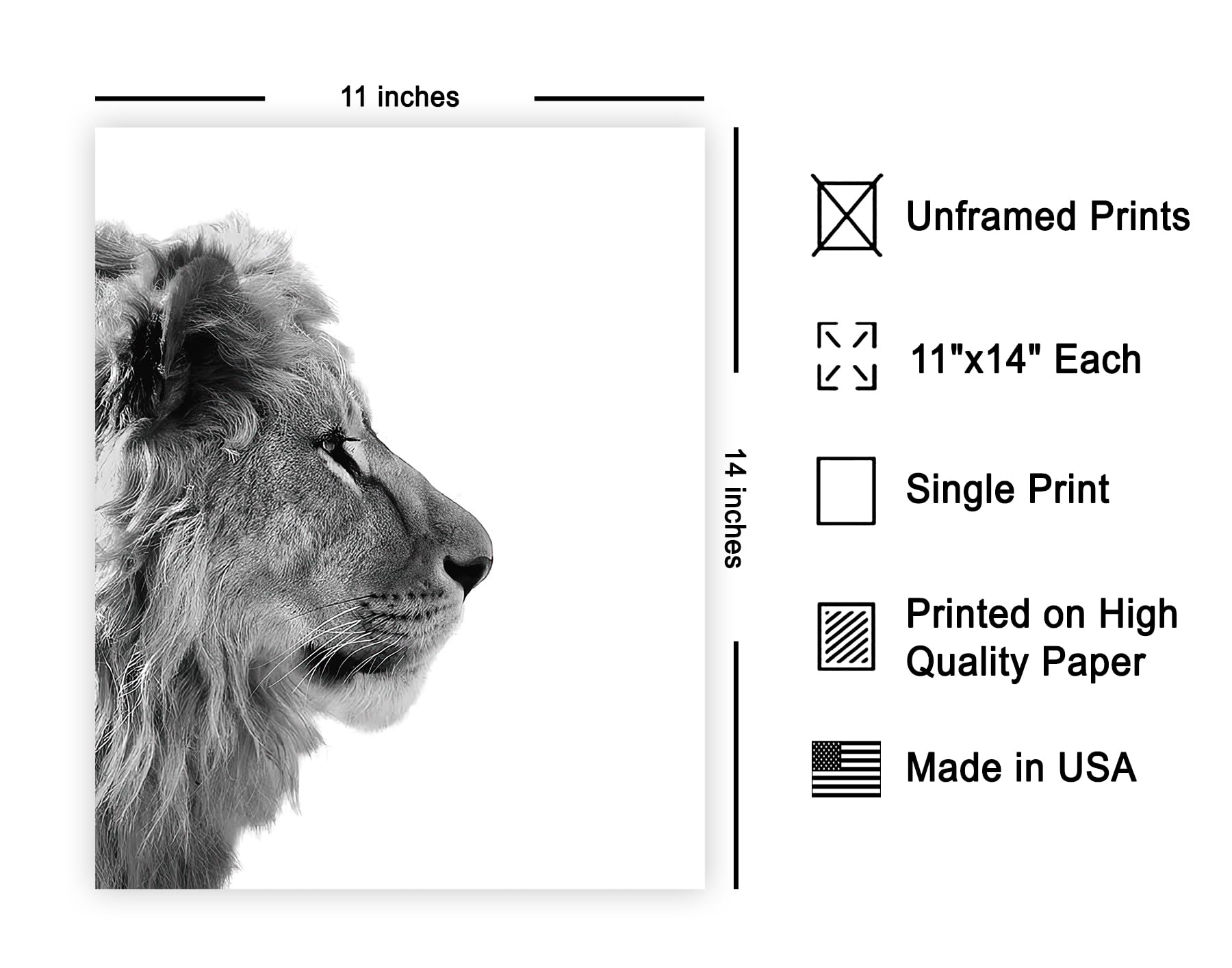 Poster Master Vintage Photograph Poster - Retro Animal Print - Lion From Side, Minimalist, Black & White, Simple - 11x14 UNFRAME