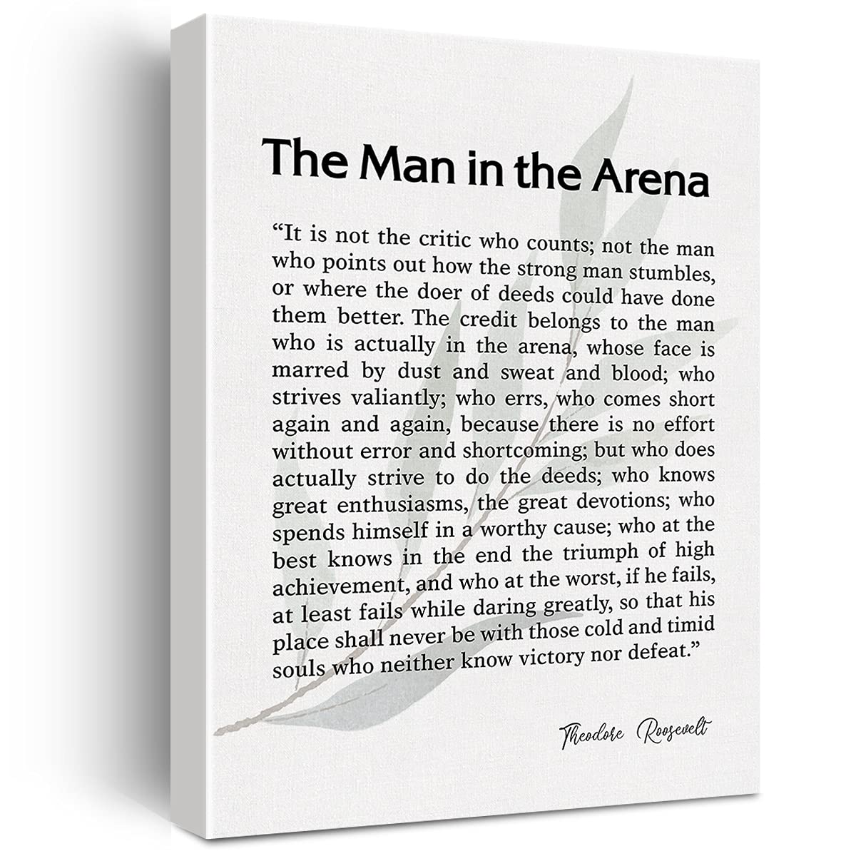 The Man In The Arena Quote Canvas Wall Art Motivational Quotes Theodore Roosevelt Speech Canvas Print Positive Canvas Painting O
