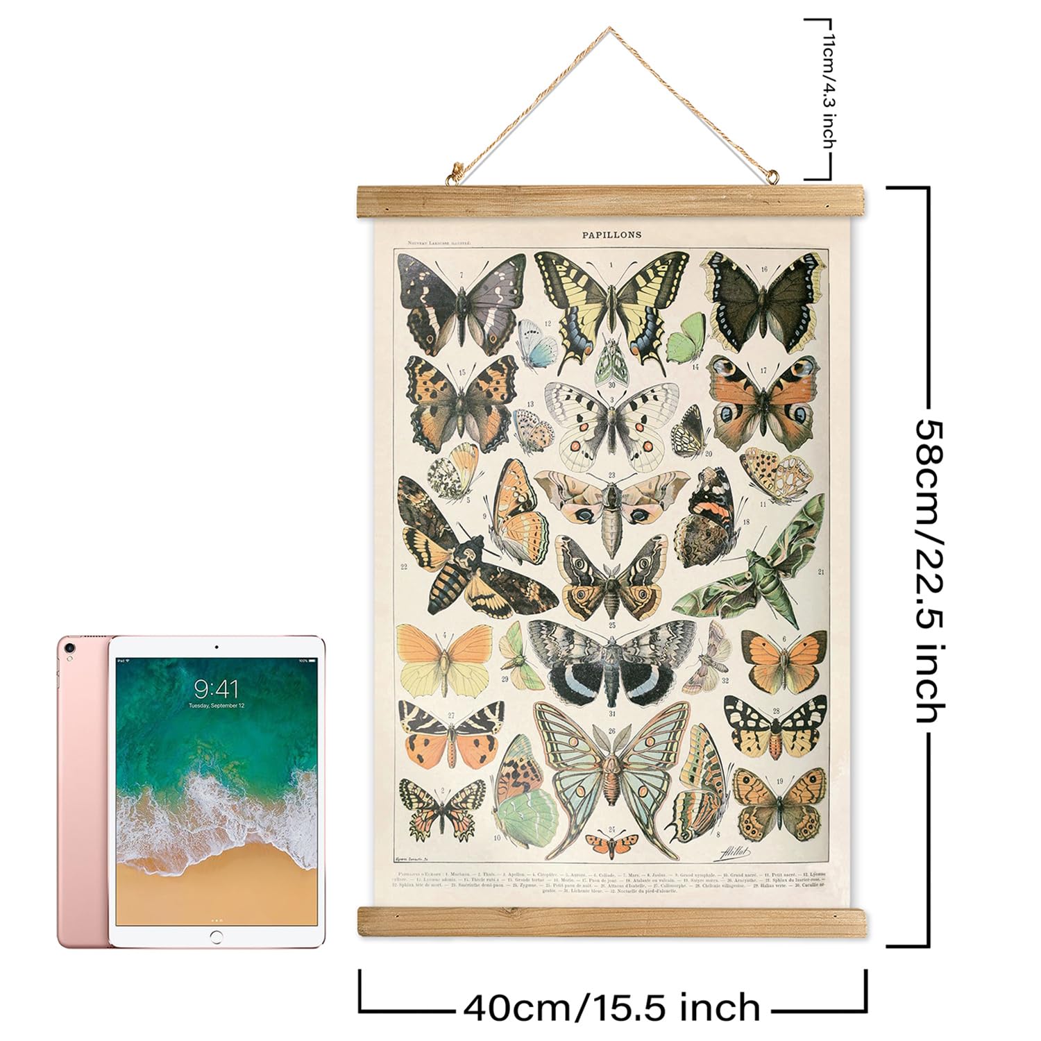 Xiaoaika 2 Pack Vintage Butterfly Poster - Cottagecore Room Decor Aesthetic - Classic Lepidoptera Wall Art With Wooden Frame - E