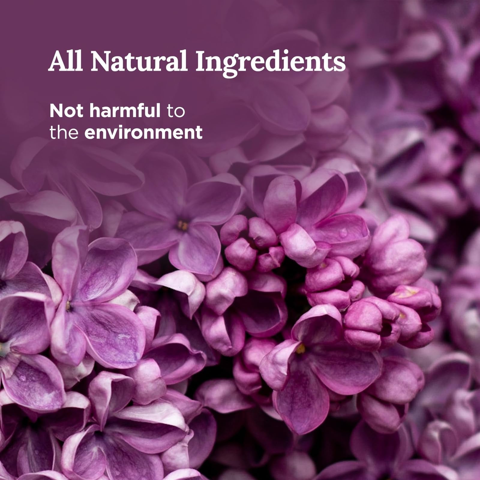 Magnificent 101 Long Lasting Love You Aromatherapy Candle  6 Oz - 35 Hour Burn  All Natural Soy Wax Candle with Vanilla, Lavende