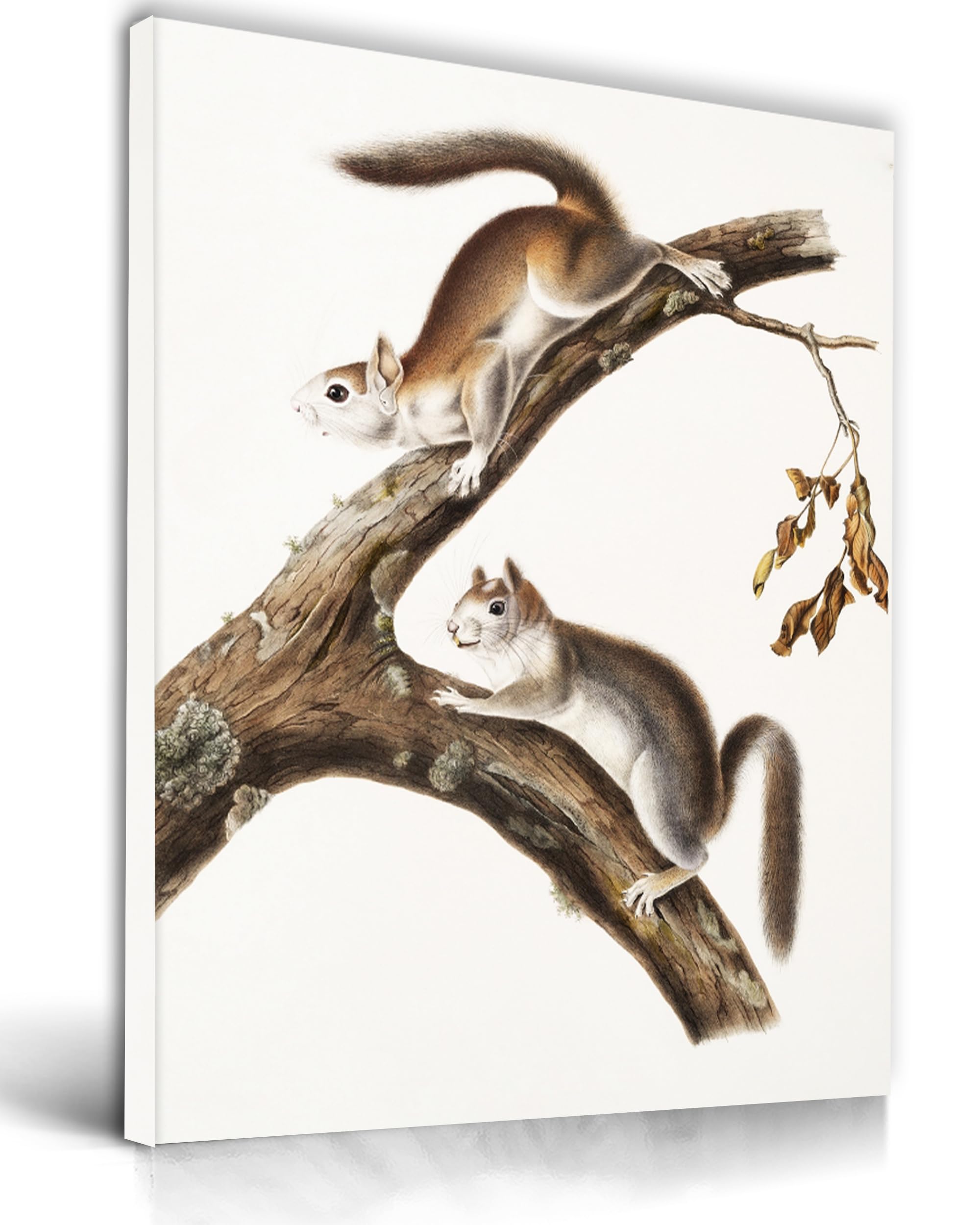 Upwoigh Bathroom Wall Art Decor, Squirrels Brown Wall Art, Waterproof Wood Framed Canvas Wall Art Animals Abstract Prints, 12''X