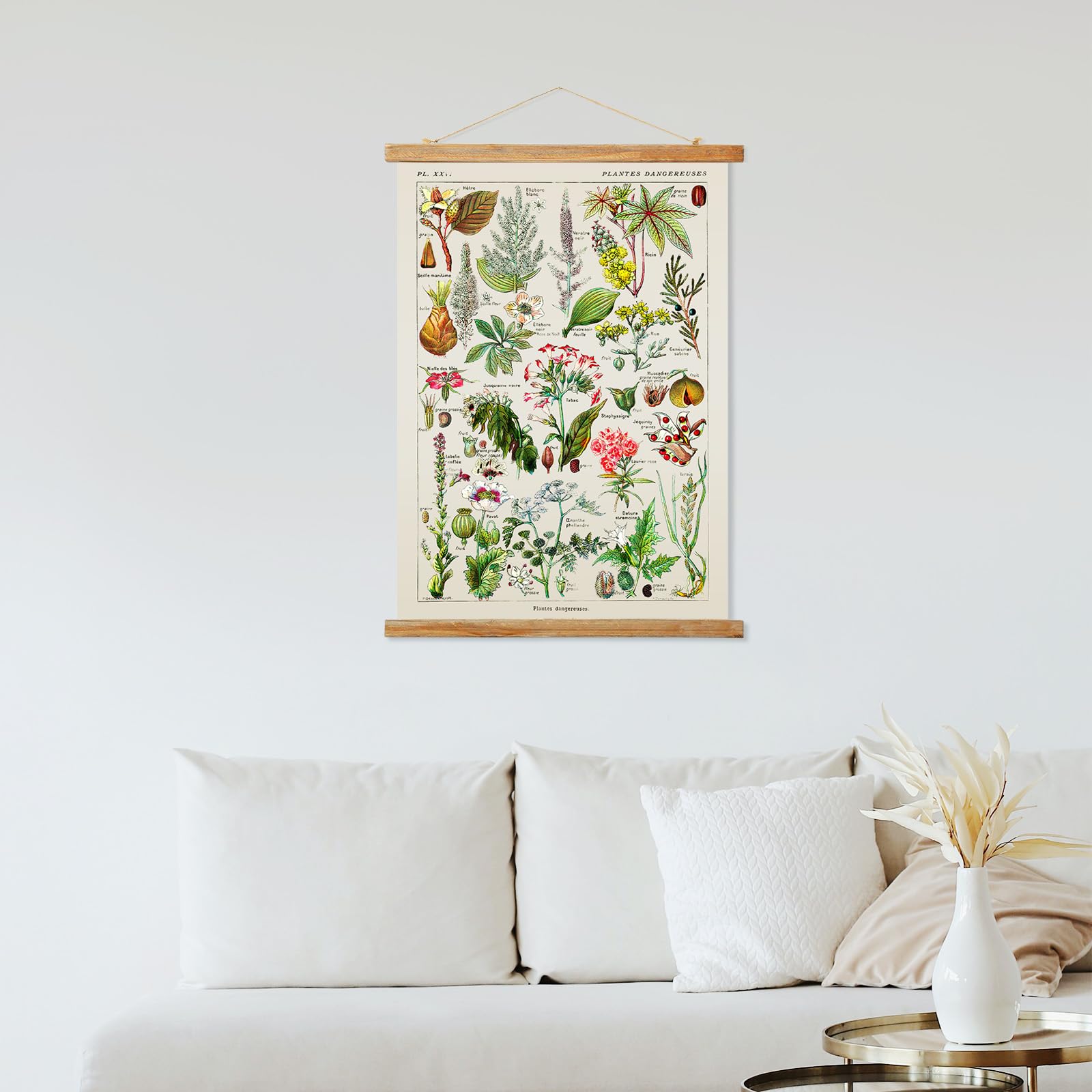 Ovfovy Vintage Botany Poster With Wooden Frame, Retro Botanical Educational Art Chart - Cute Style Wall Hanging For Home Classro