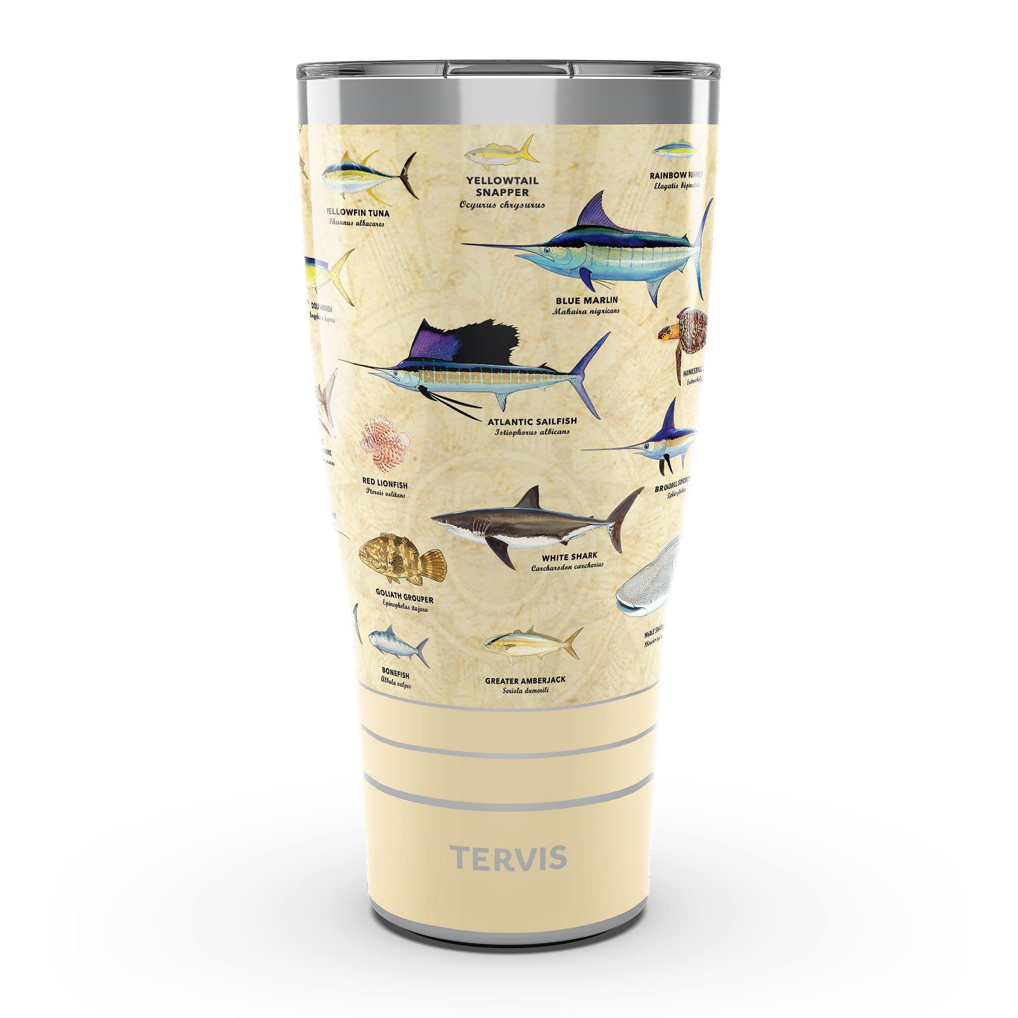 Tervis 30oz Stainless Steel Tumbler | Guy Harvey  Charts