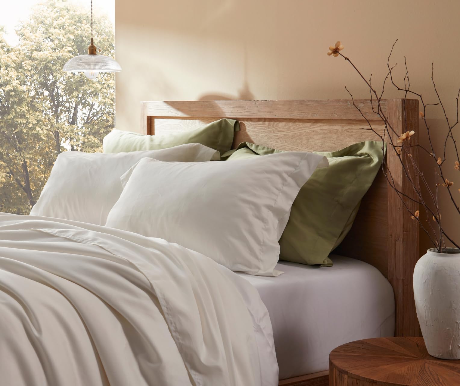 Baisihan Goose Feather Pillow Set Of 2, Standard Size