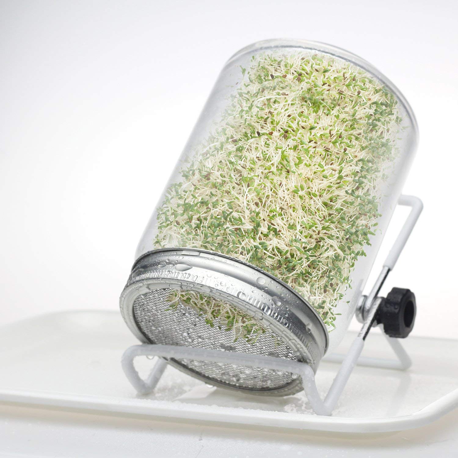 2 Pcs Stainless Steel Sprouting Jar Lids With 2 Pcs Stainless Steel Sprouting Stands For Wide Mouth Mason Jar(Jar Not Included)